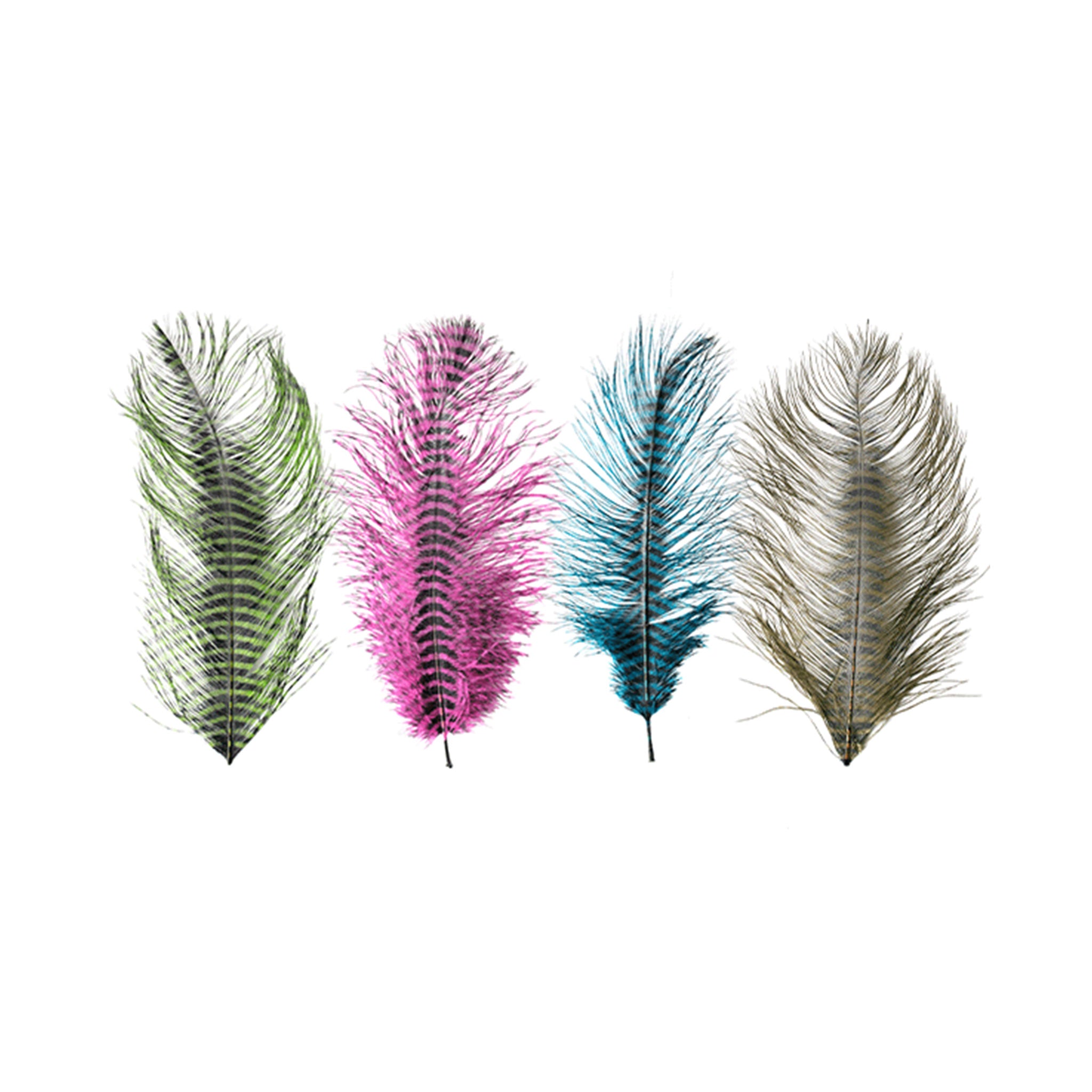 MFC Barred Ostrich Plumes