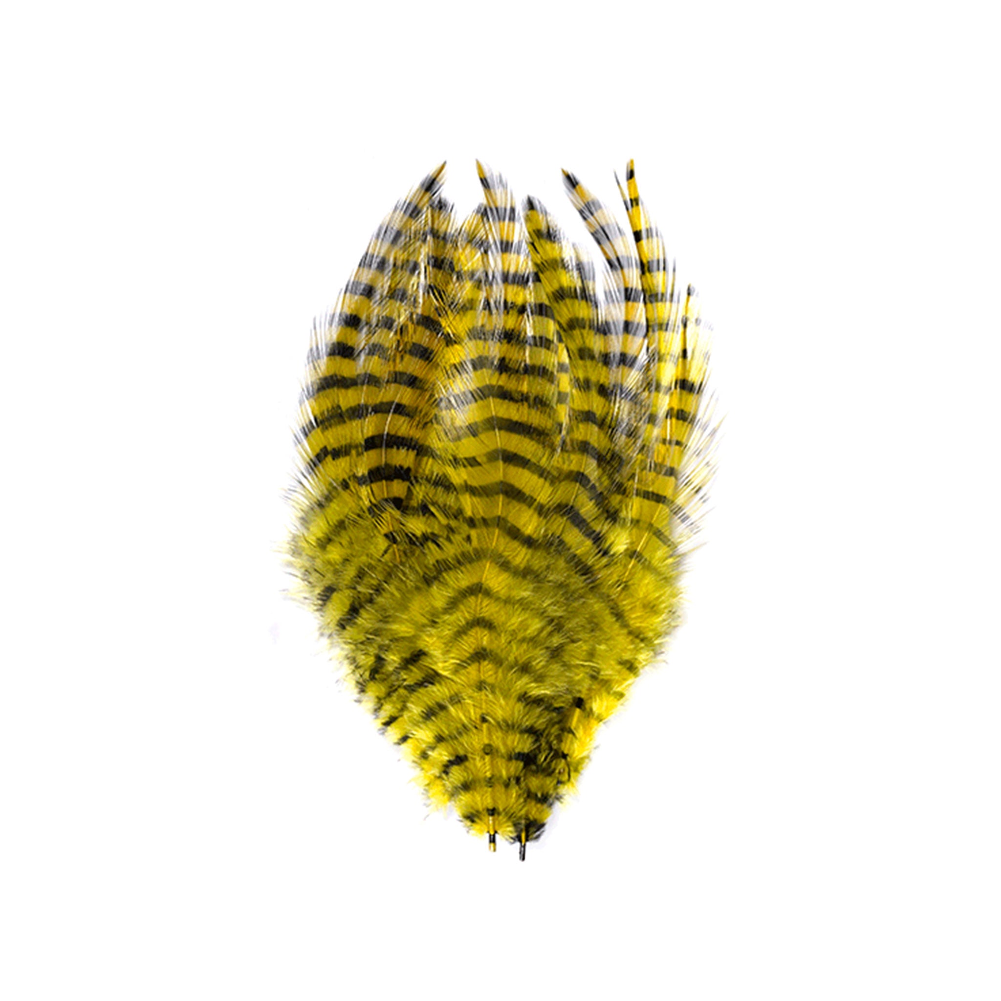 MFC Barred Saddle Hackle