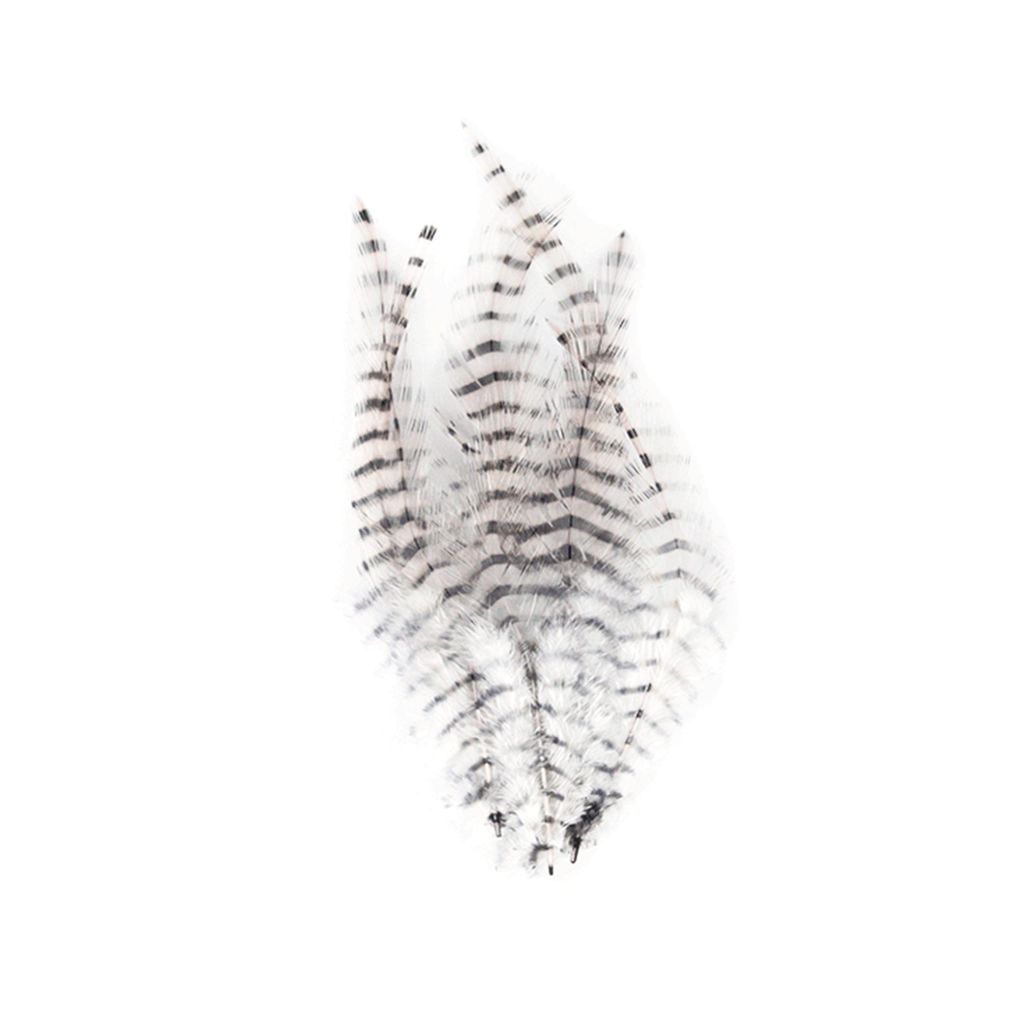 MFC Barred Saddle Hackle