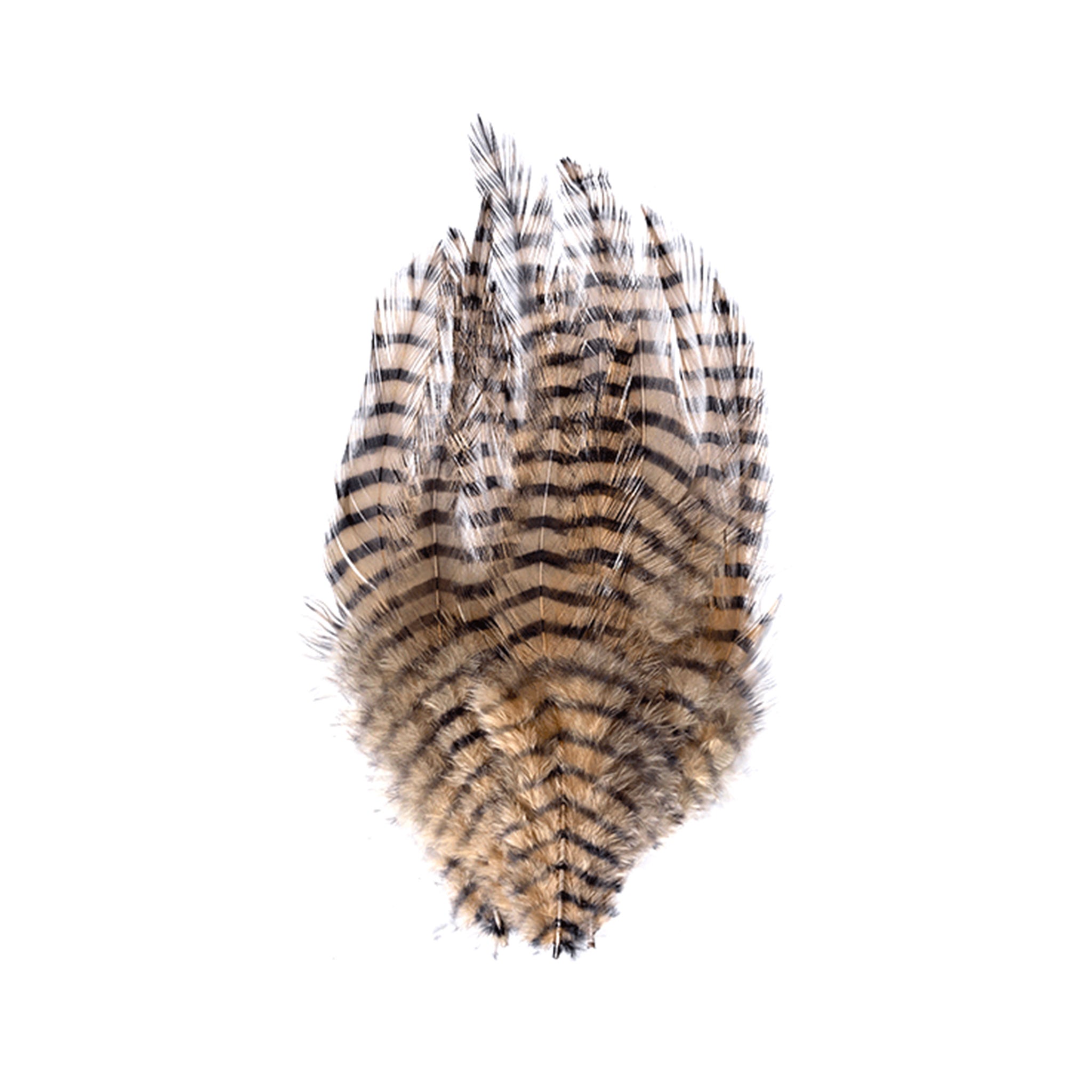 MFC Barred Saddle Hackle