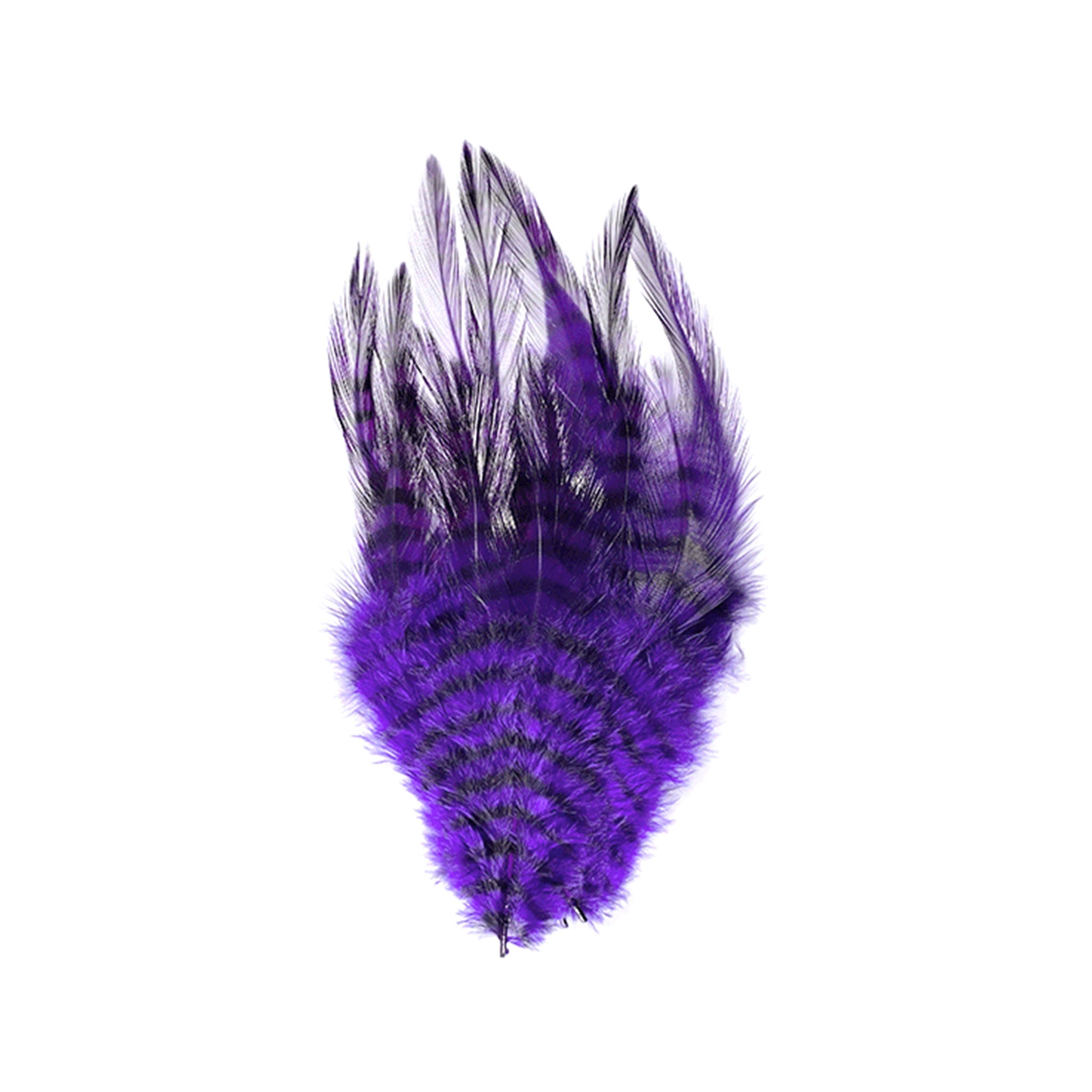 MFC Barred Saddle Hackle