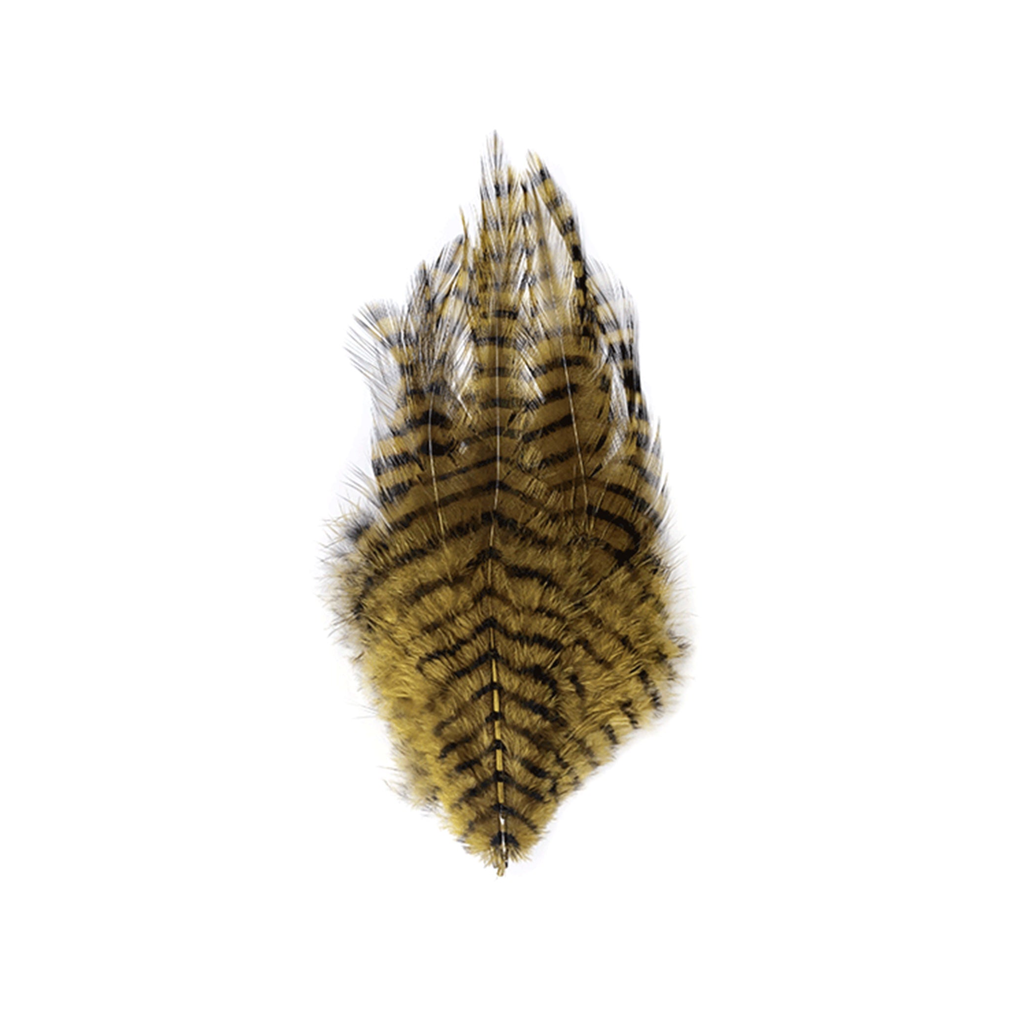 MFC Barred Saddle Hackle