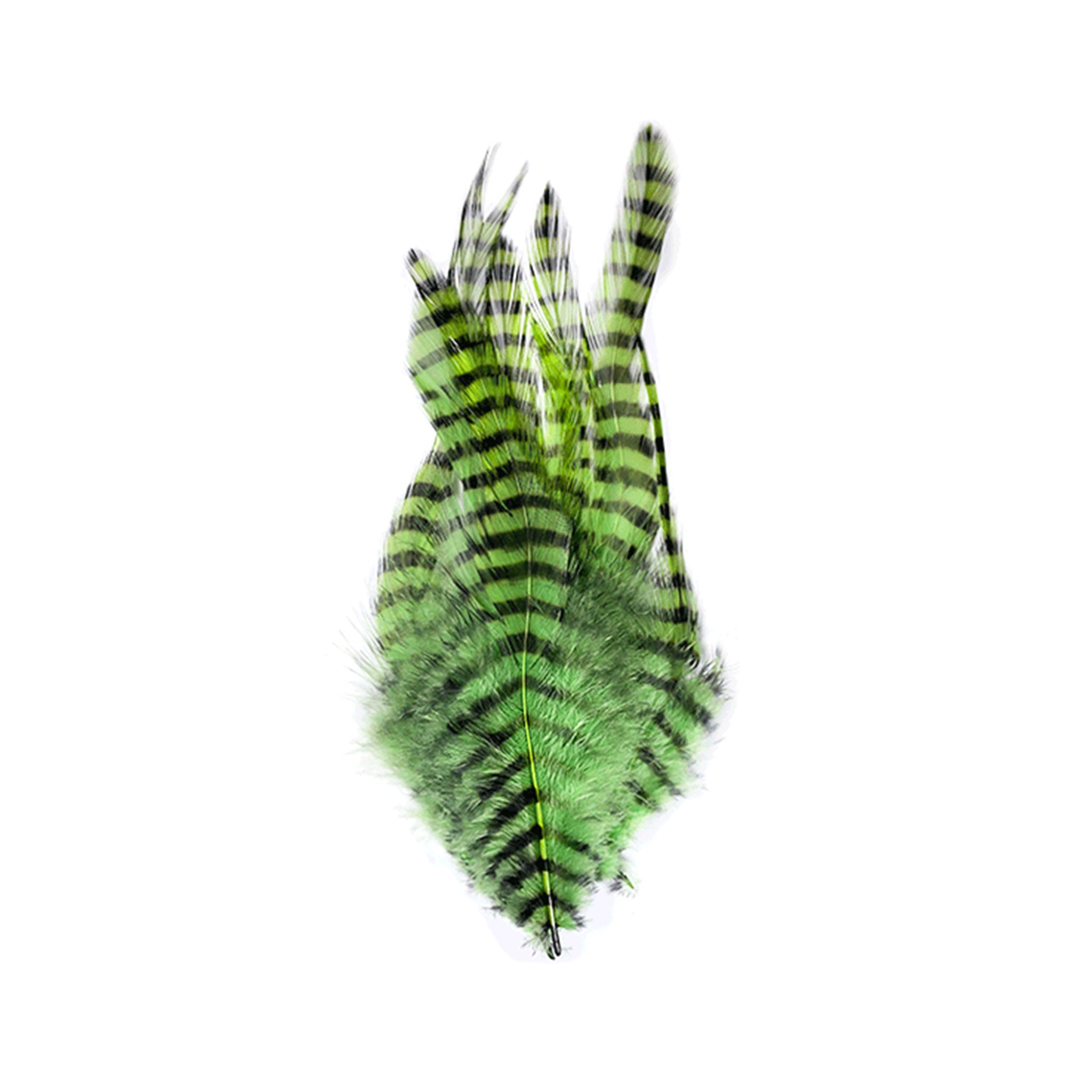 MFC Barred Saddle Hackle