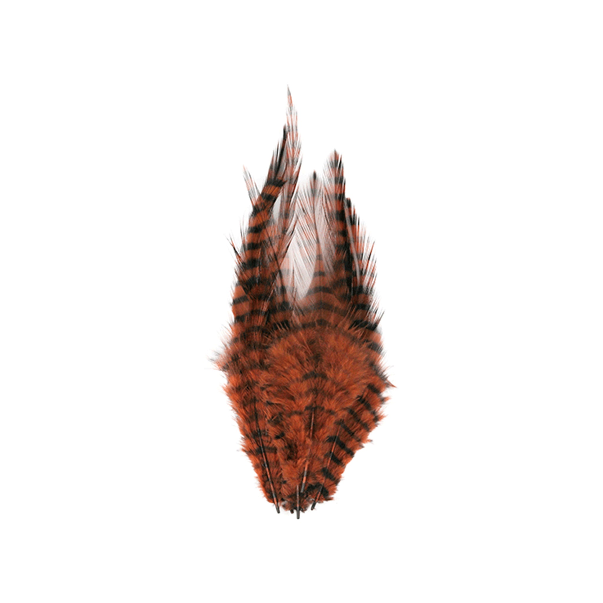 MFC Barred Saddle Hackle