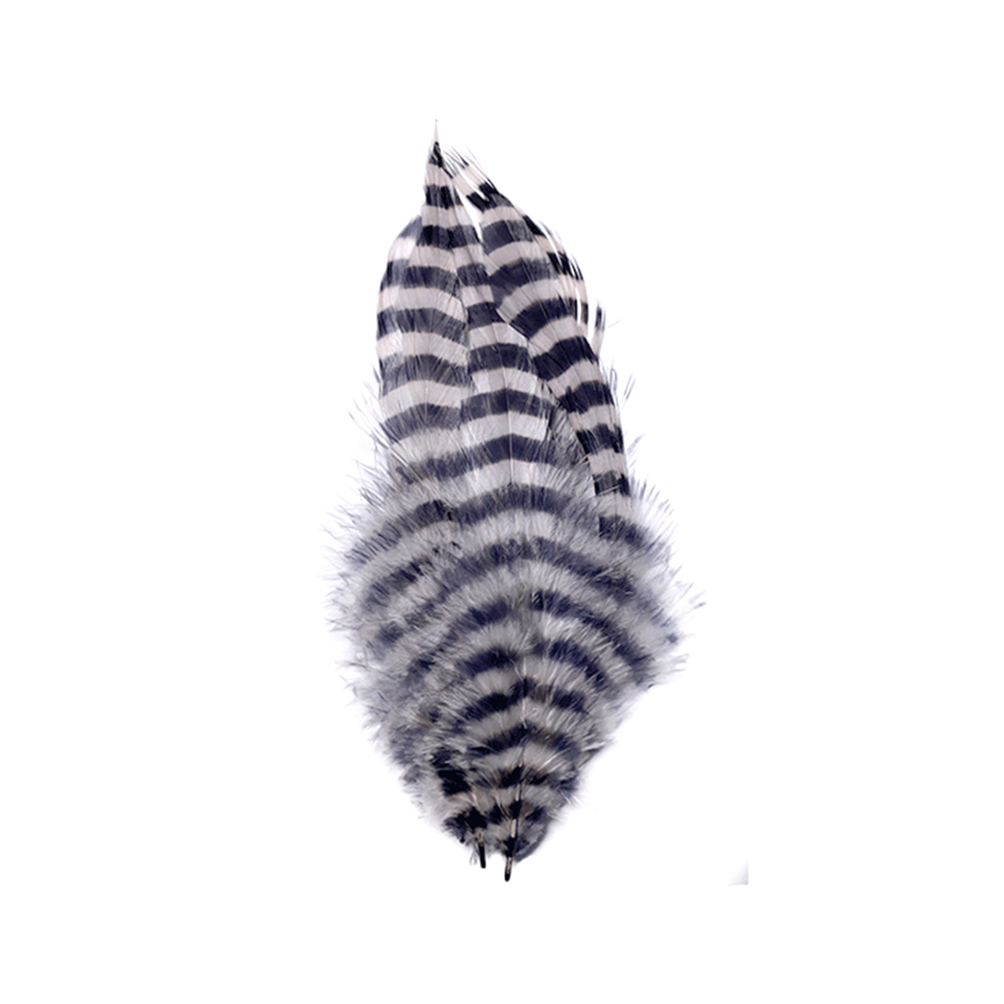 MFC Barred Schlappen Feathers