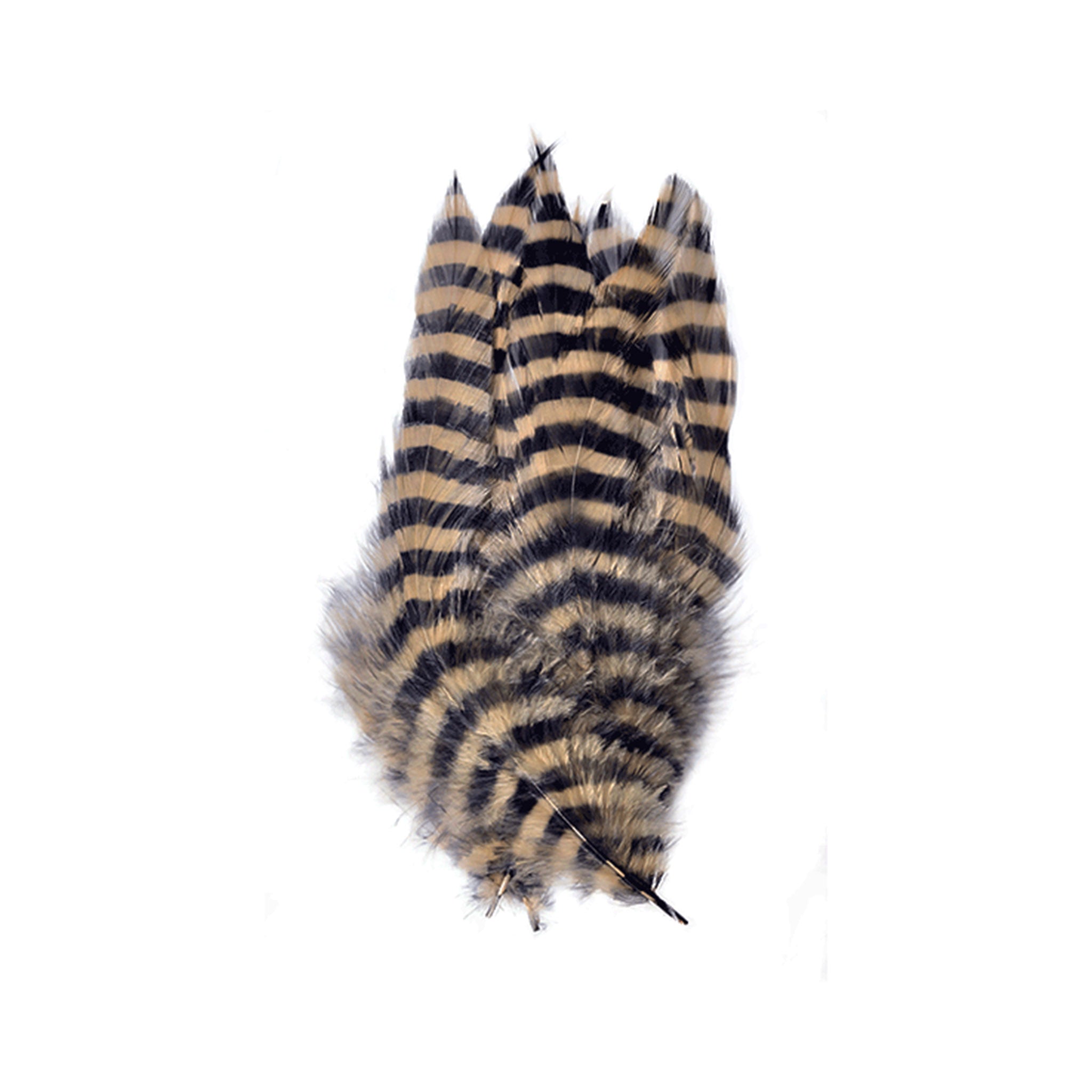 MFC Barred Schlappen Feathers