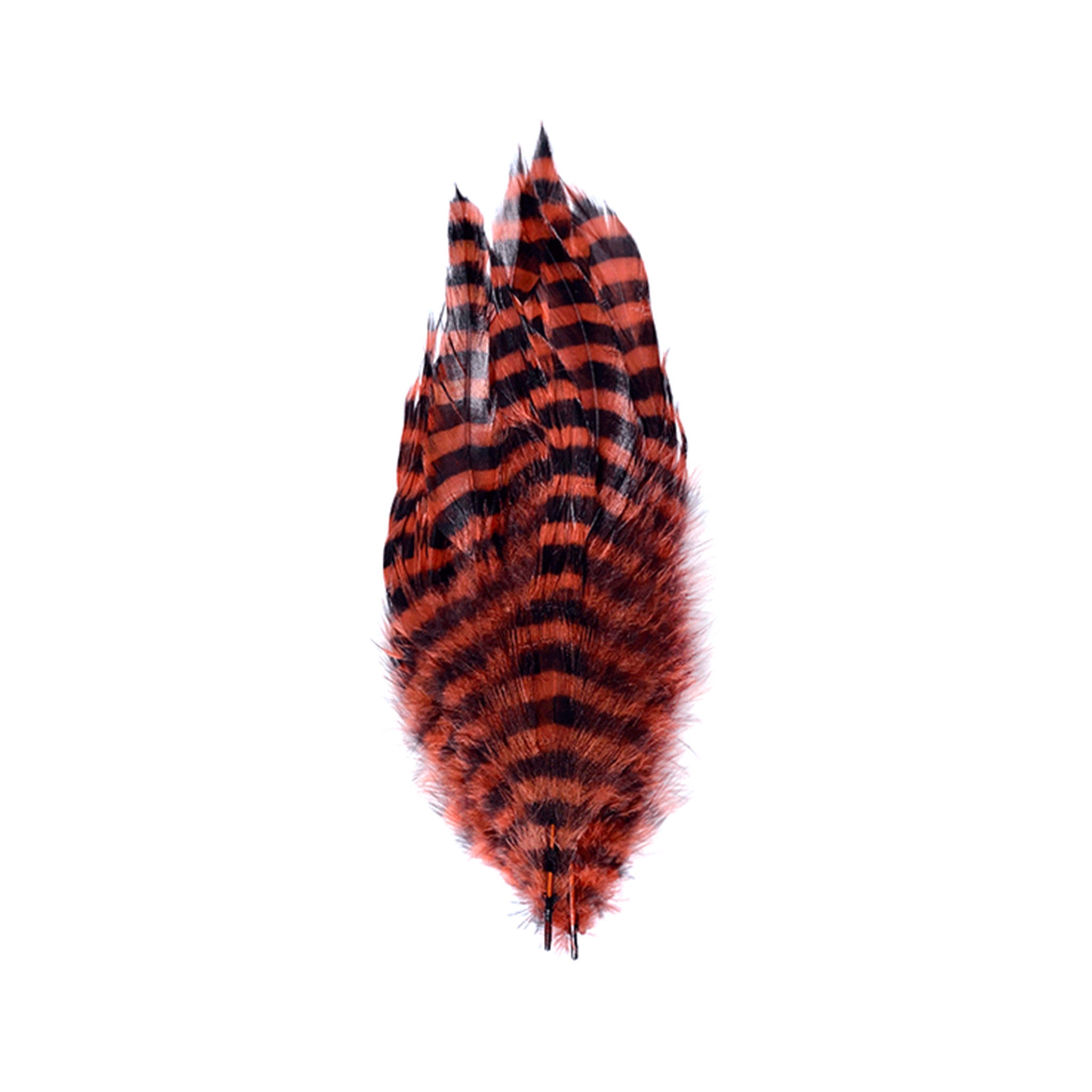 MFC Barred Schlappen Feathers