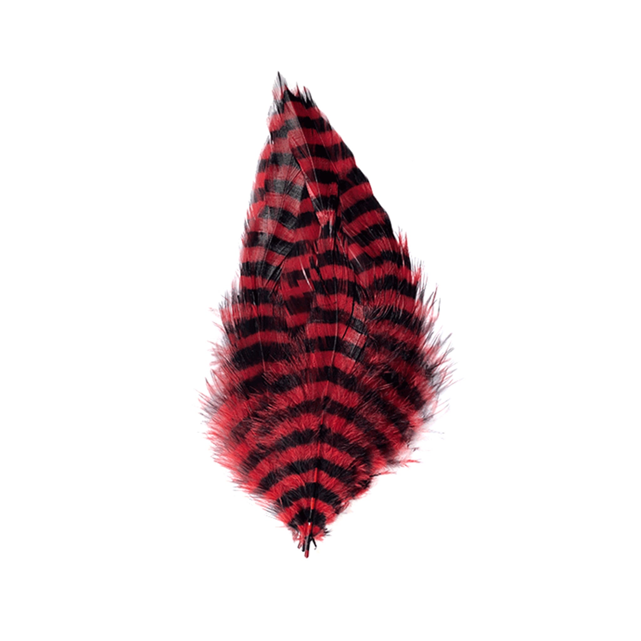 MFC Barred Schlappen Feathers