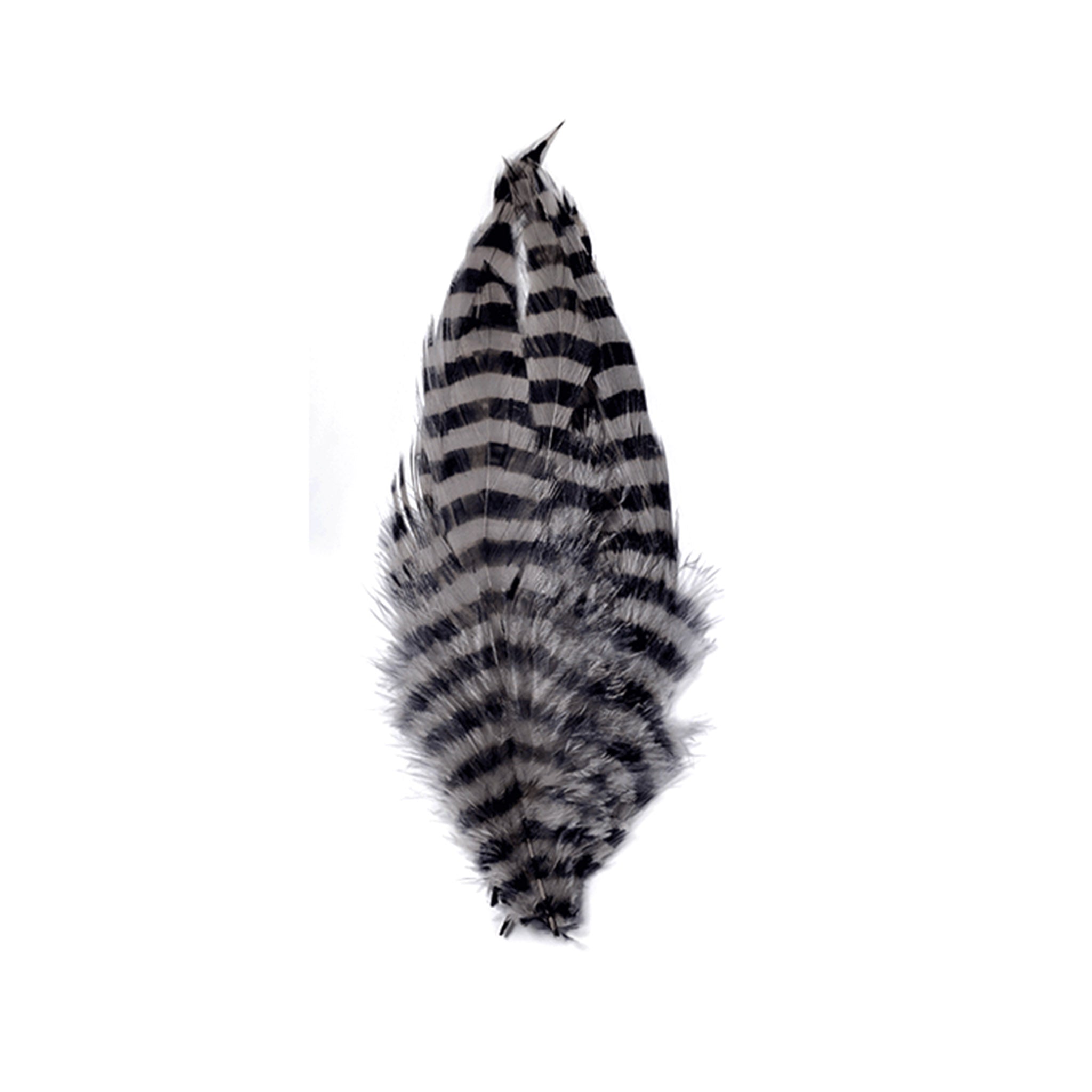 MFC Barred Schlappen Feathers