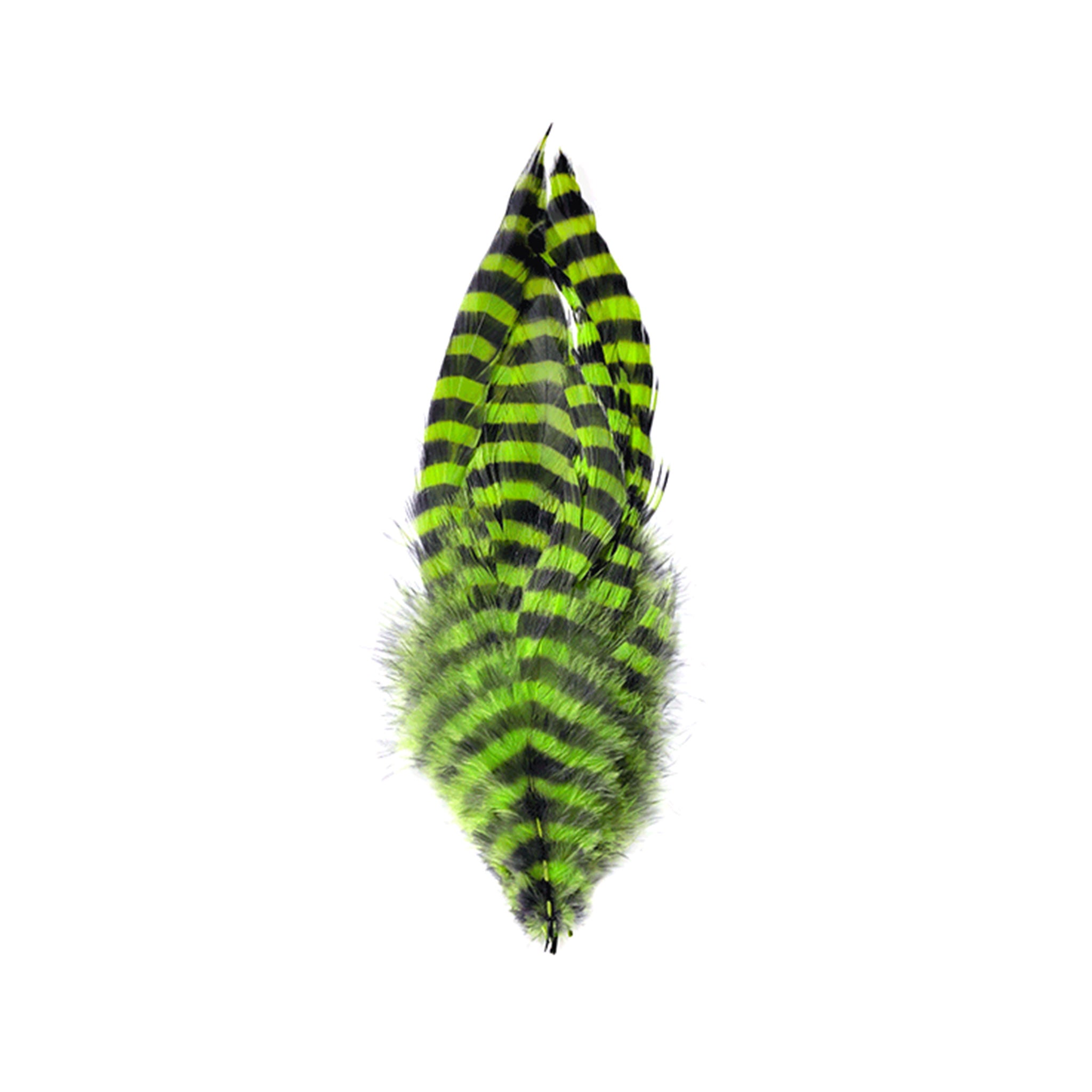 MFC Barred Schlappen Feathers