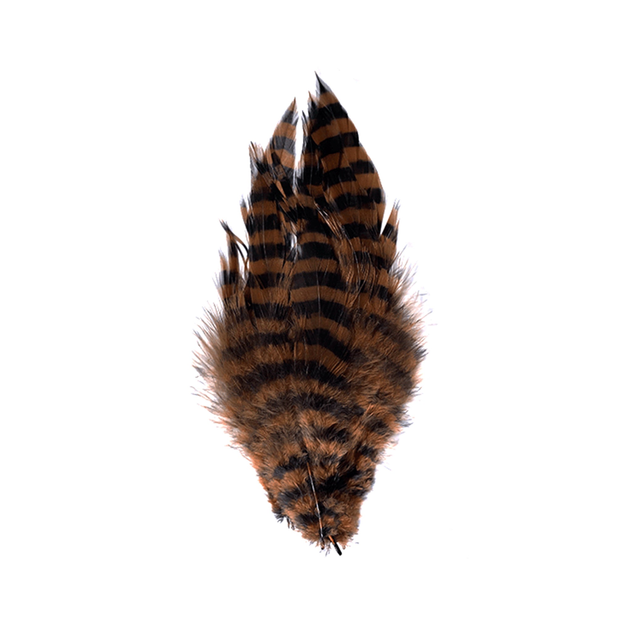 MFC Barred Schlappen Feathers