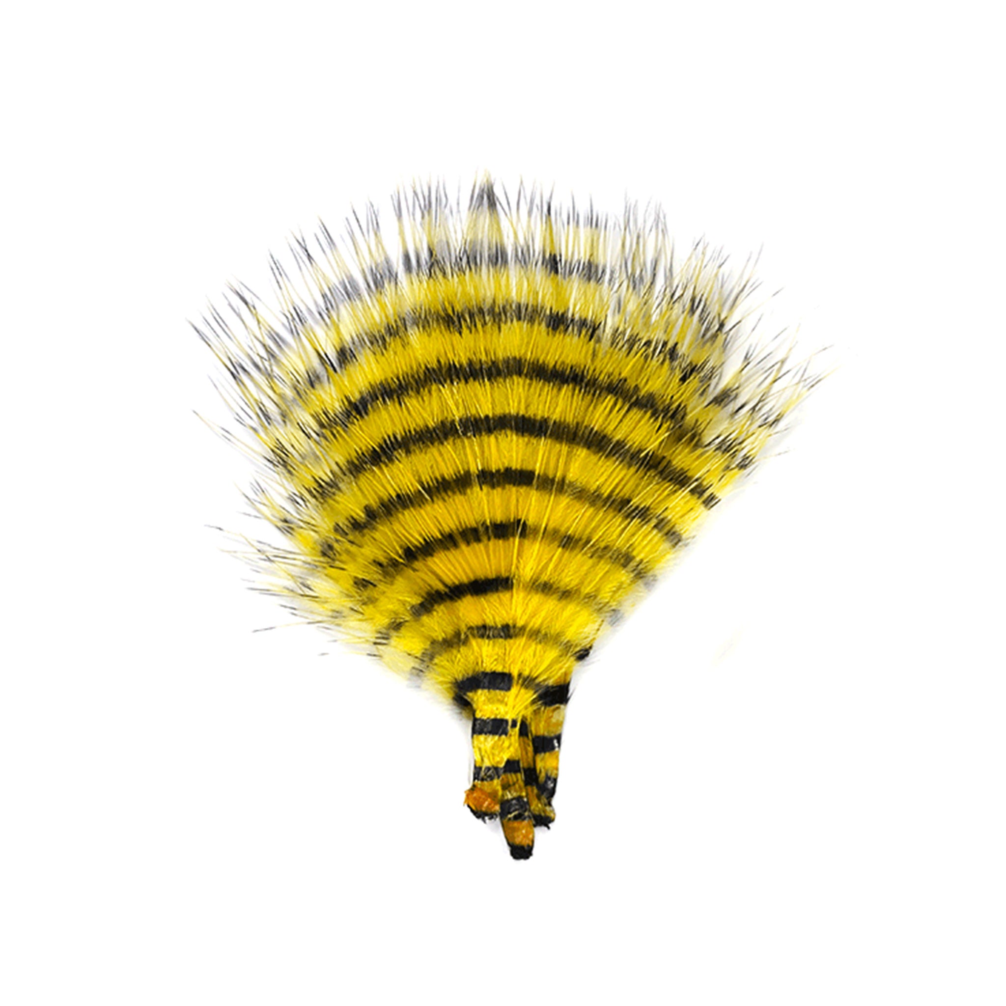 MFC Mini Barred Buggerbou