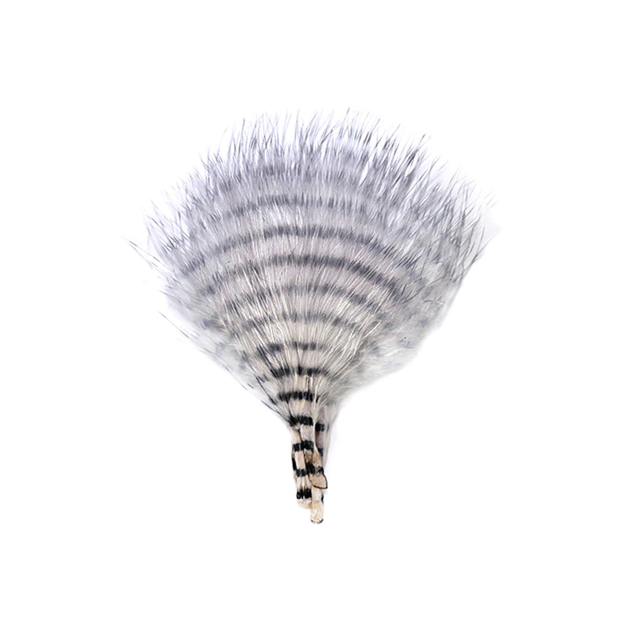 MFC Mini Barred Buggerbou