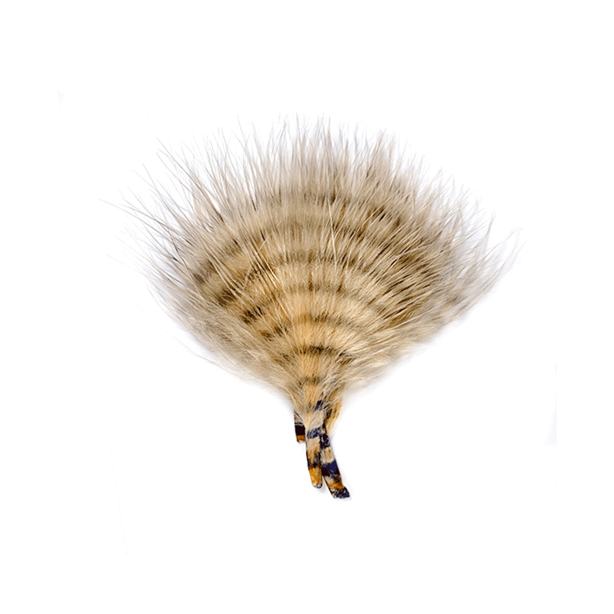 MFC Mini Barred Buggerbou