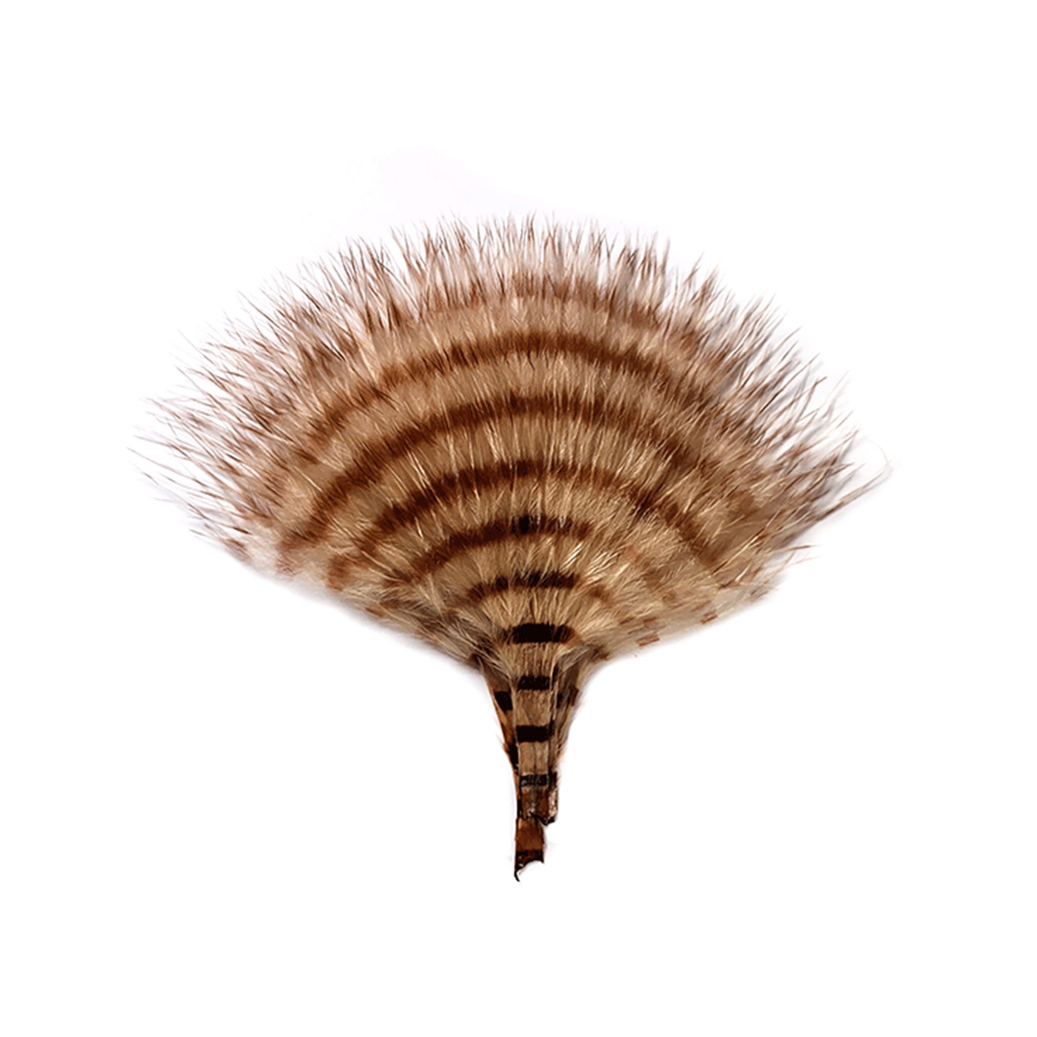 MFC Mini Barred Buggerbou