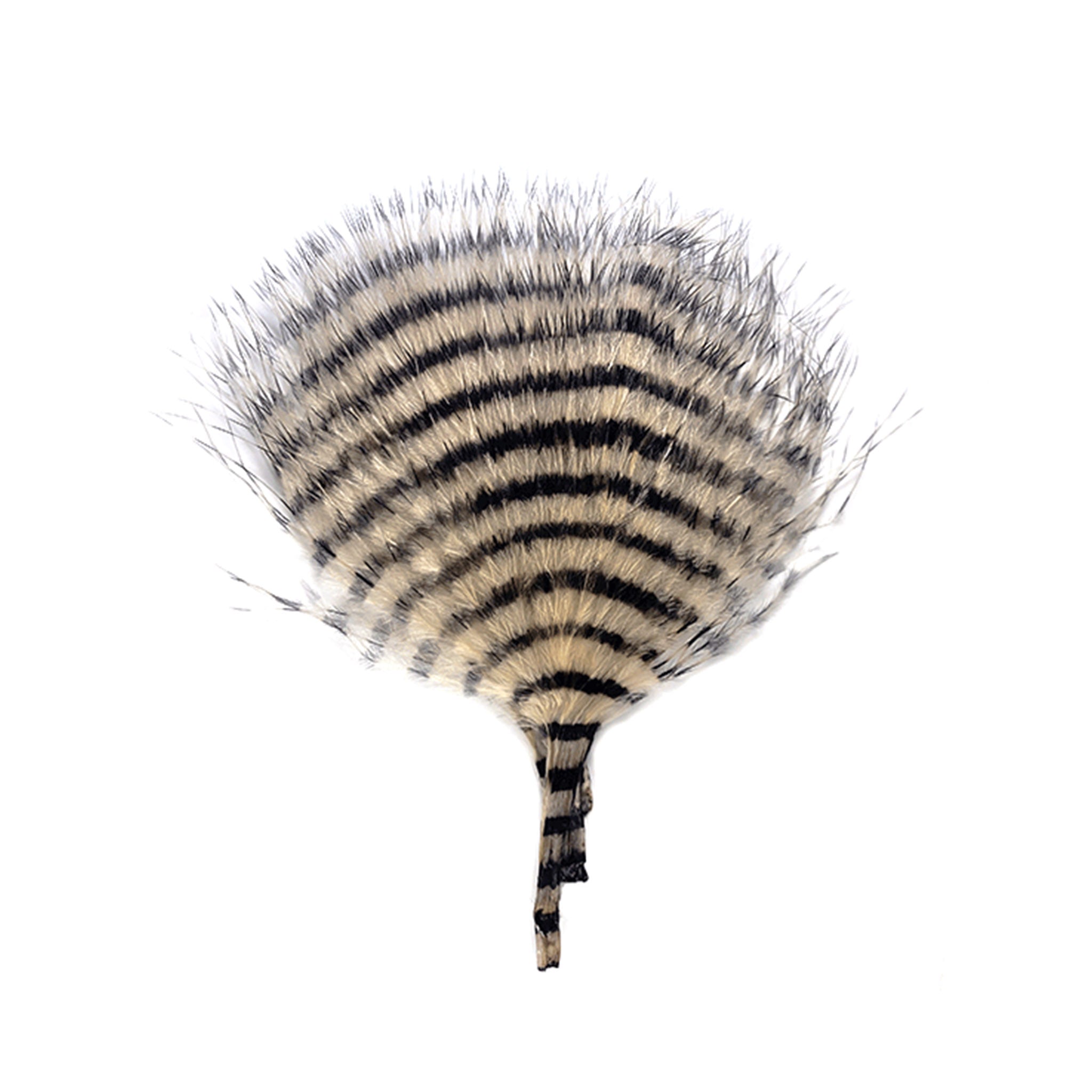 MFC Mini Barred Buggerbou