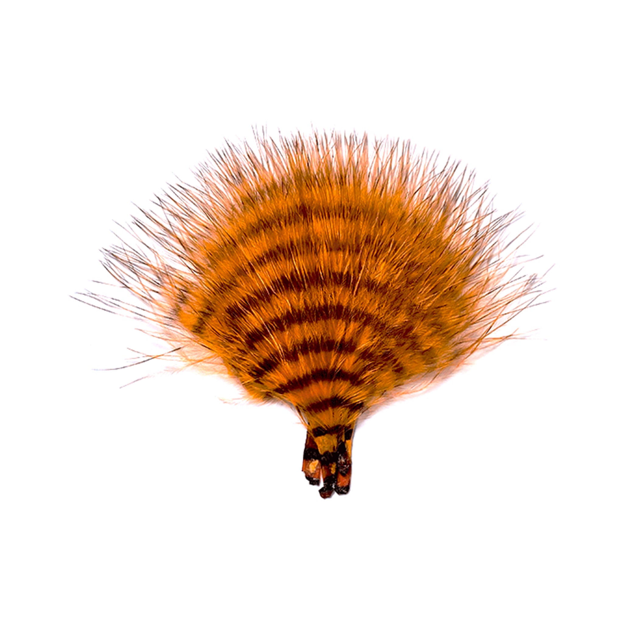 MFC Mini Barred Buggerbou