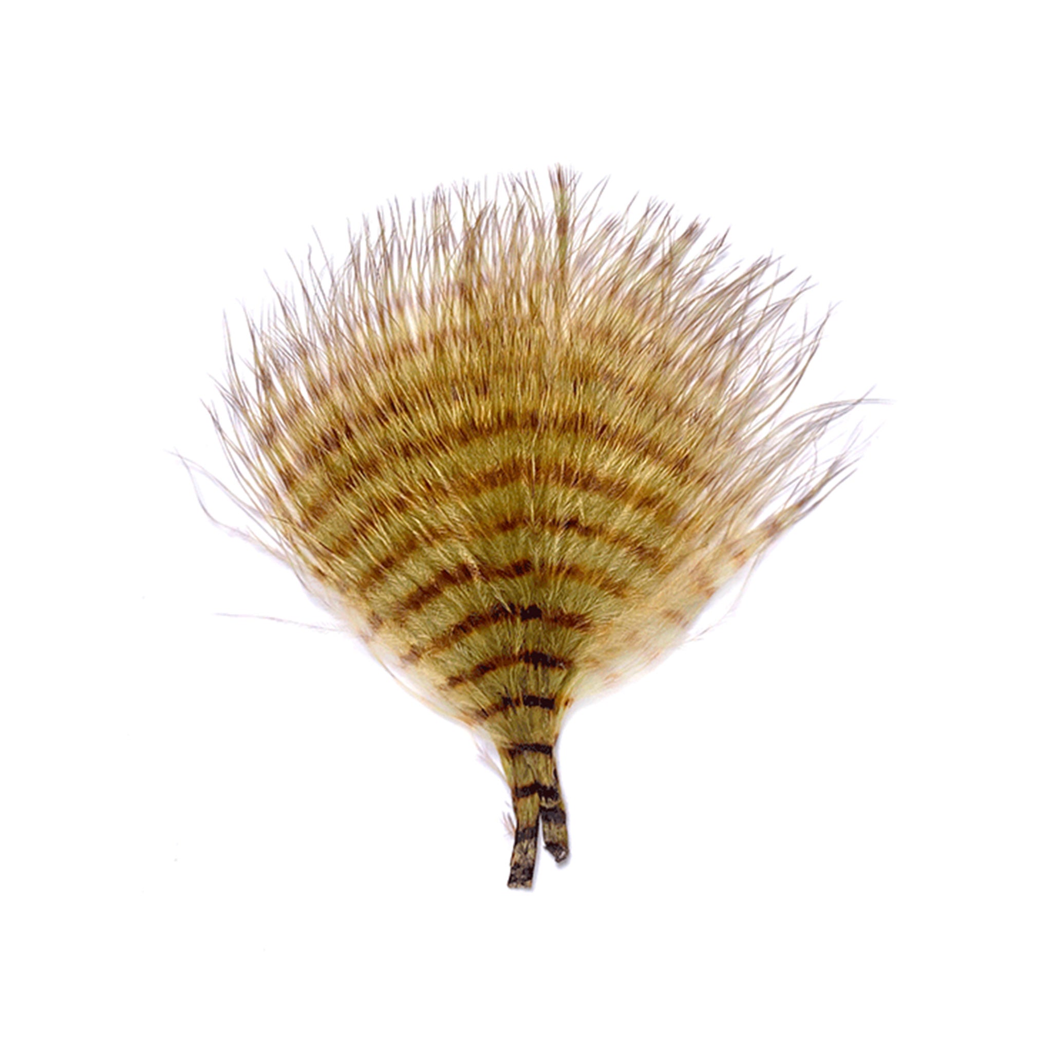 MFC Mini Barred Buggerbou