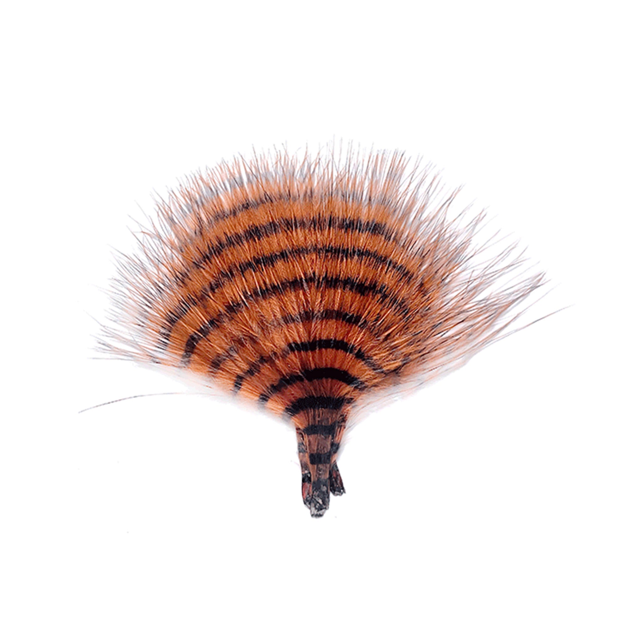 MFC Mini Barred Buggerbou