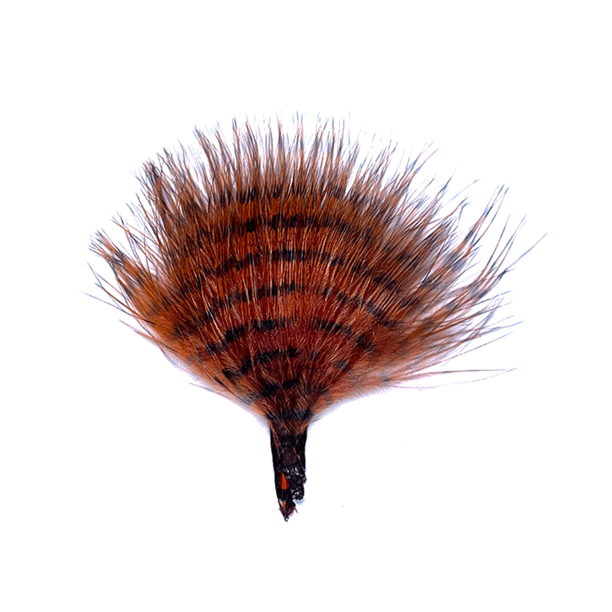 MFC Mini Barred Buggerbou