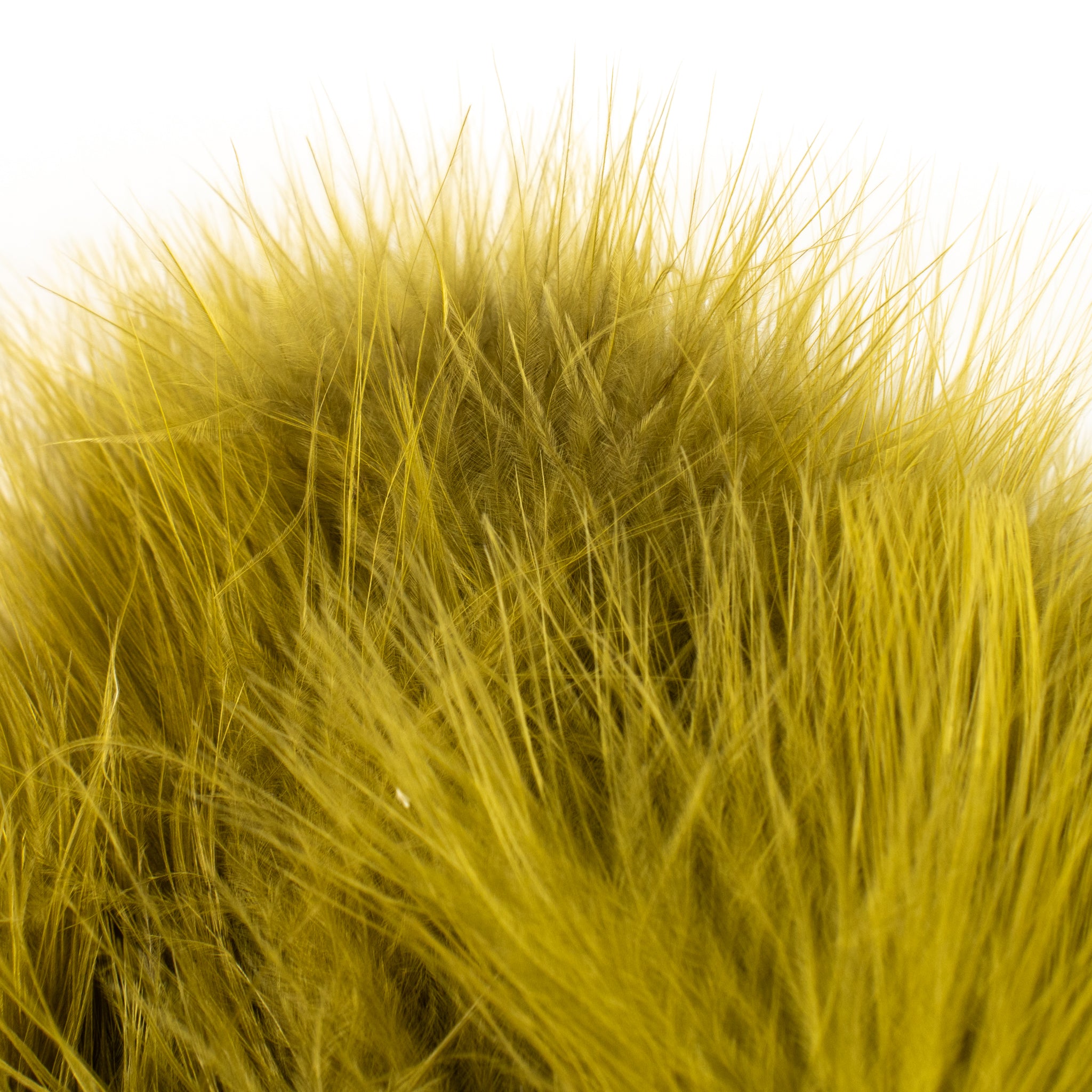 Nature's Spirit Fish Hunter Marabou