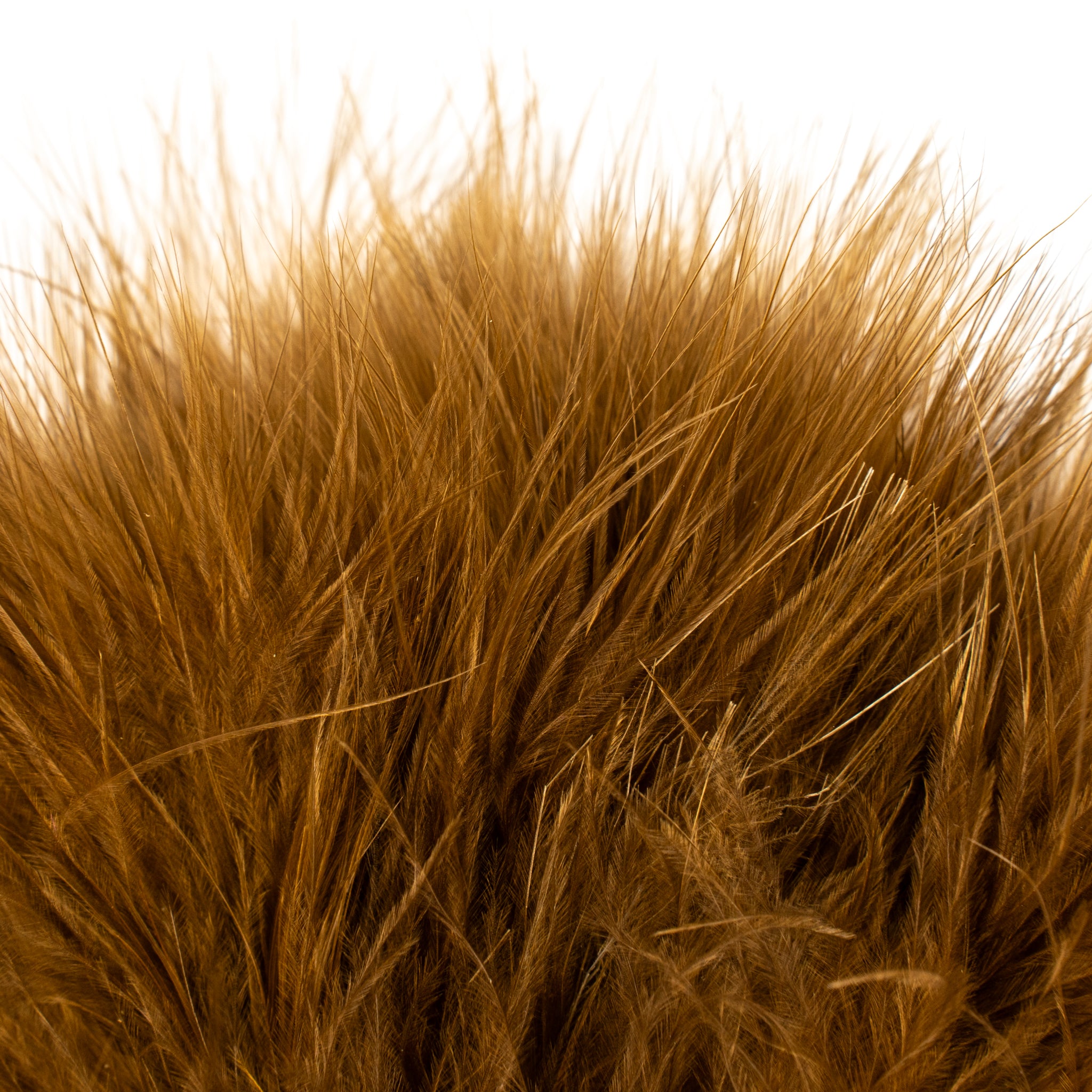 Nature's Spirit Fish Hunter Marabou