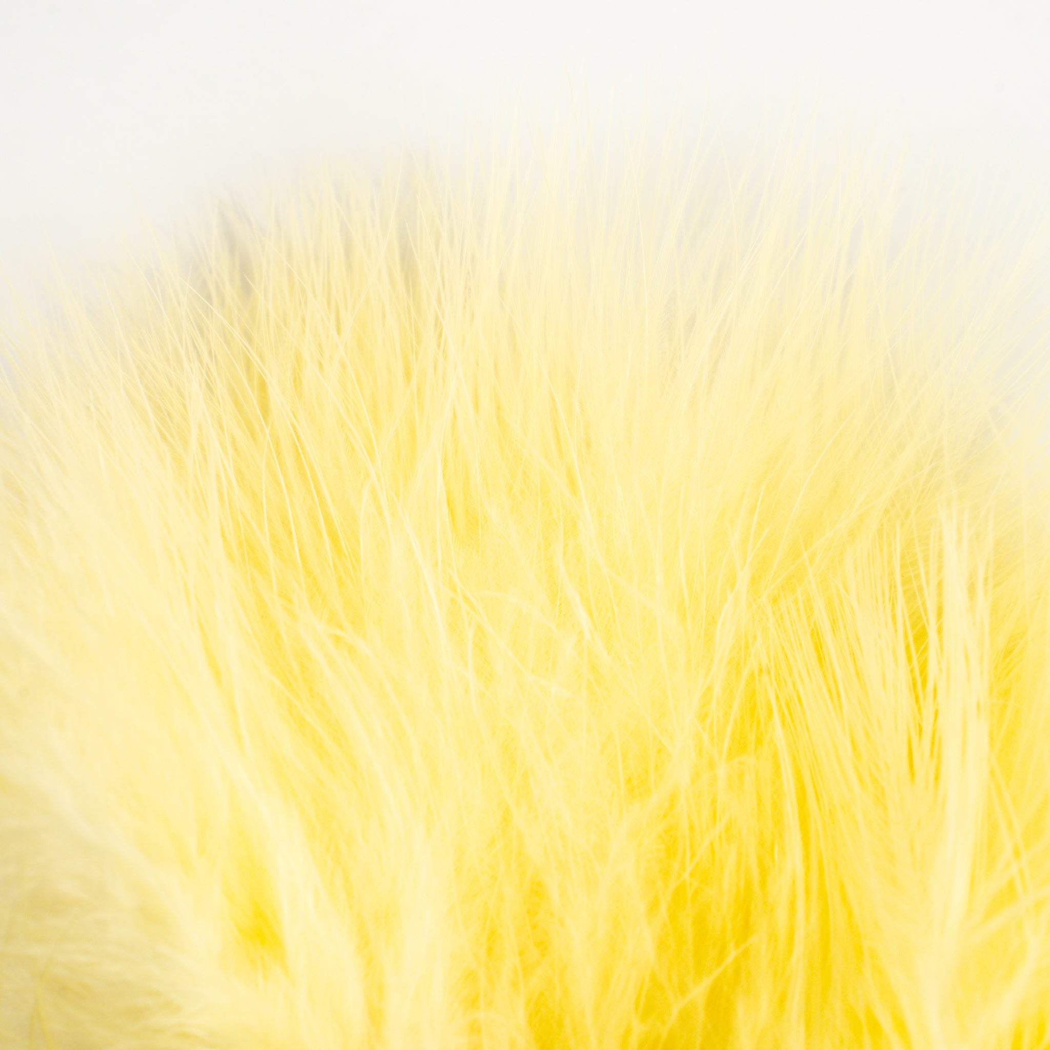 Nature's Spirit Fish Hunter Marabou