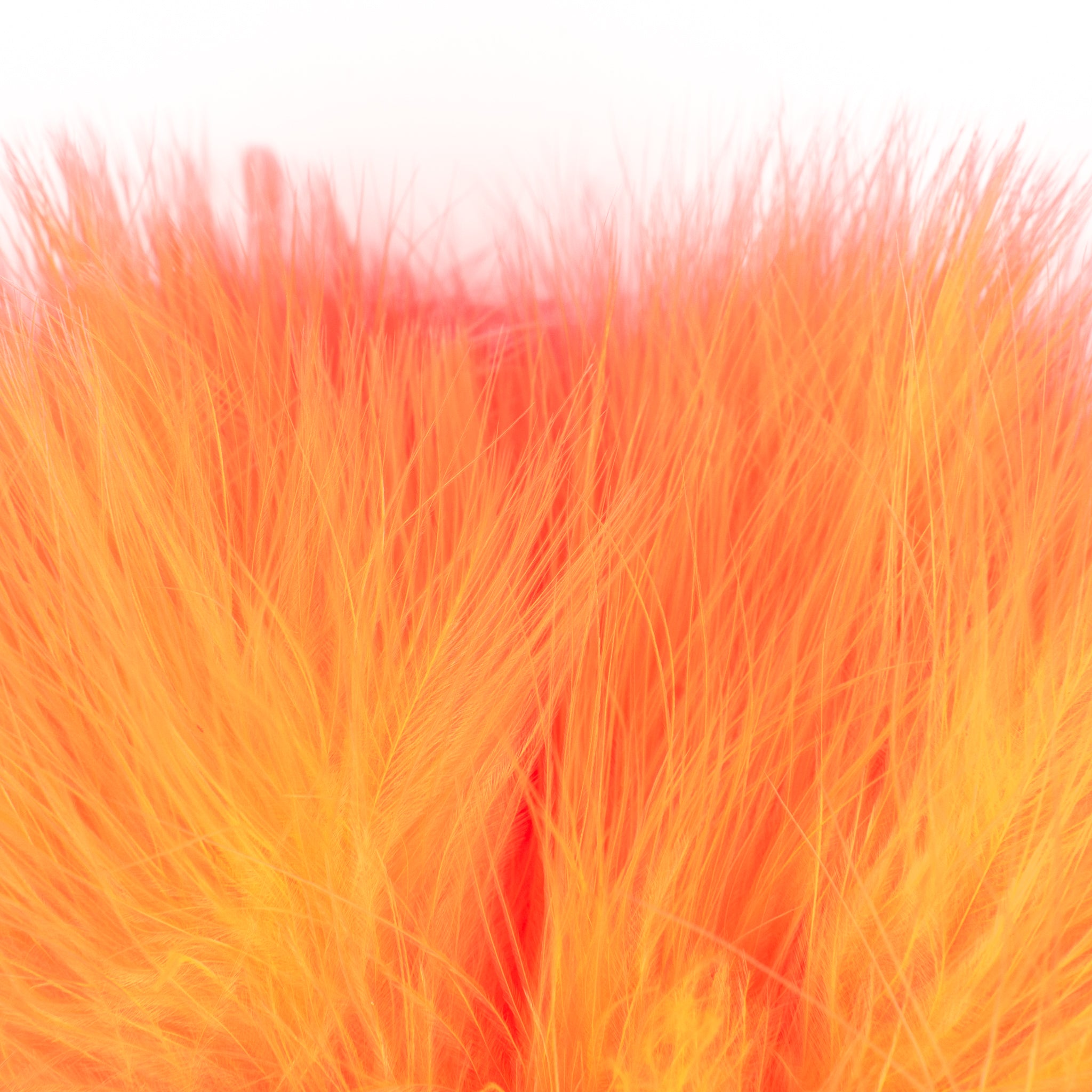 Nature's Spirit Fish Hunter Marabou