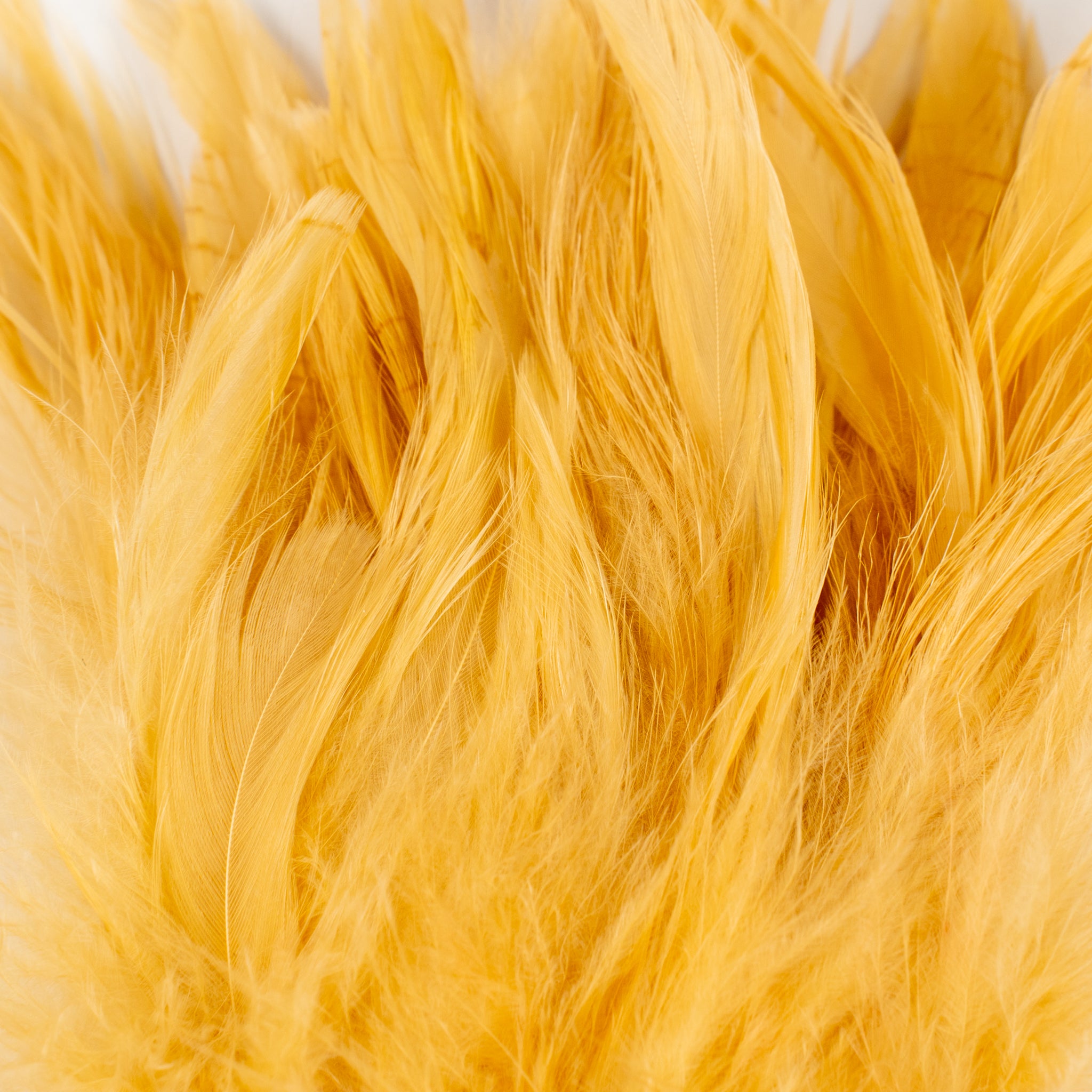 Nature's Spirit Fish Hunter Select Schlappen