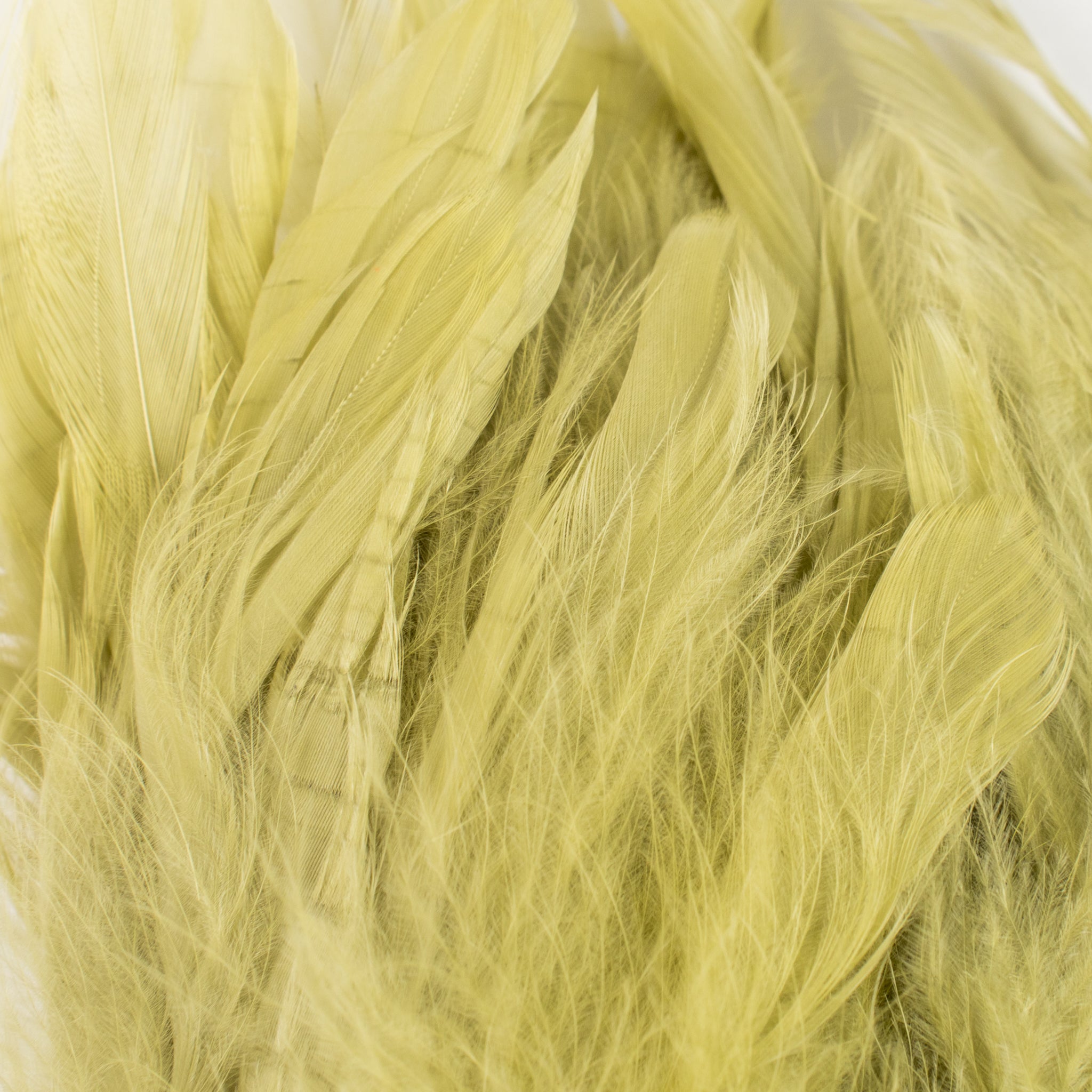 Nature's Spirit Fish Hunter Select Schlappen