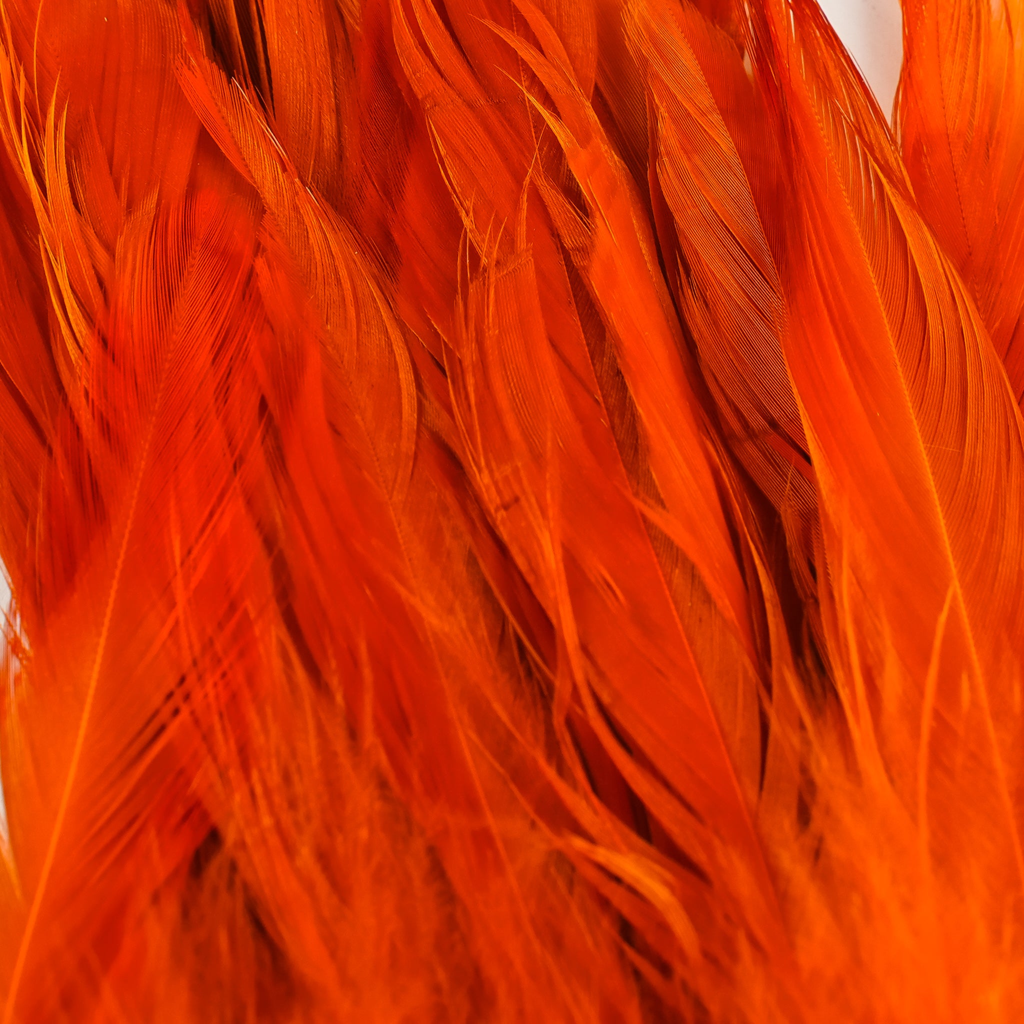 Nature's Spirit Fish Hunter Select Schlappen