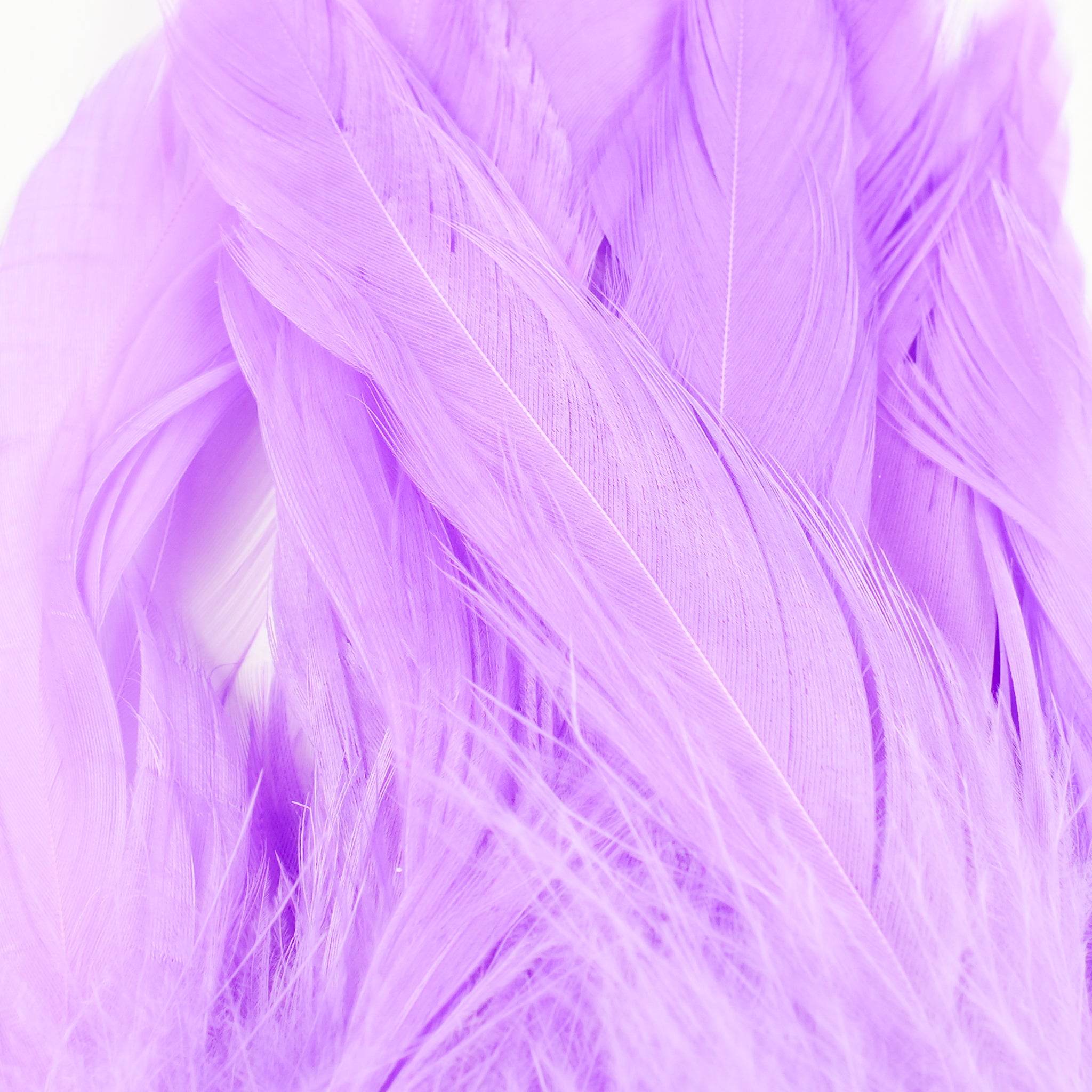 Nature's Spirit Fish Hunter Select Schlappen