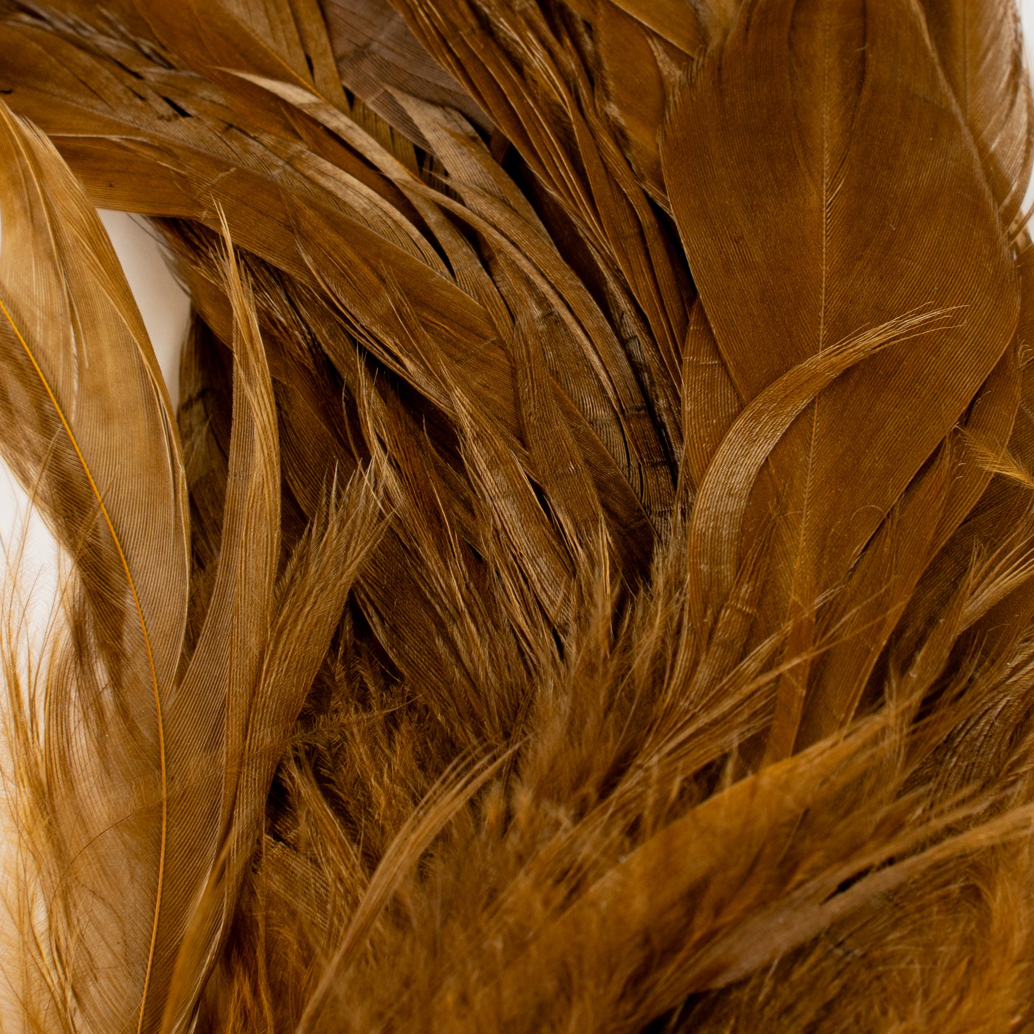 Nature's Spirit Fish Hunter Select Schlappen