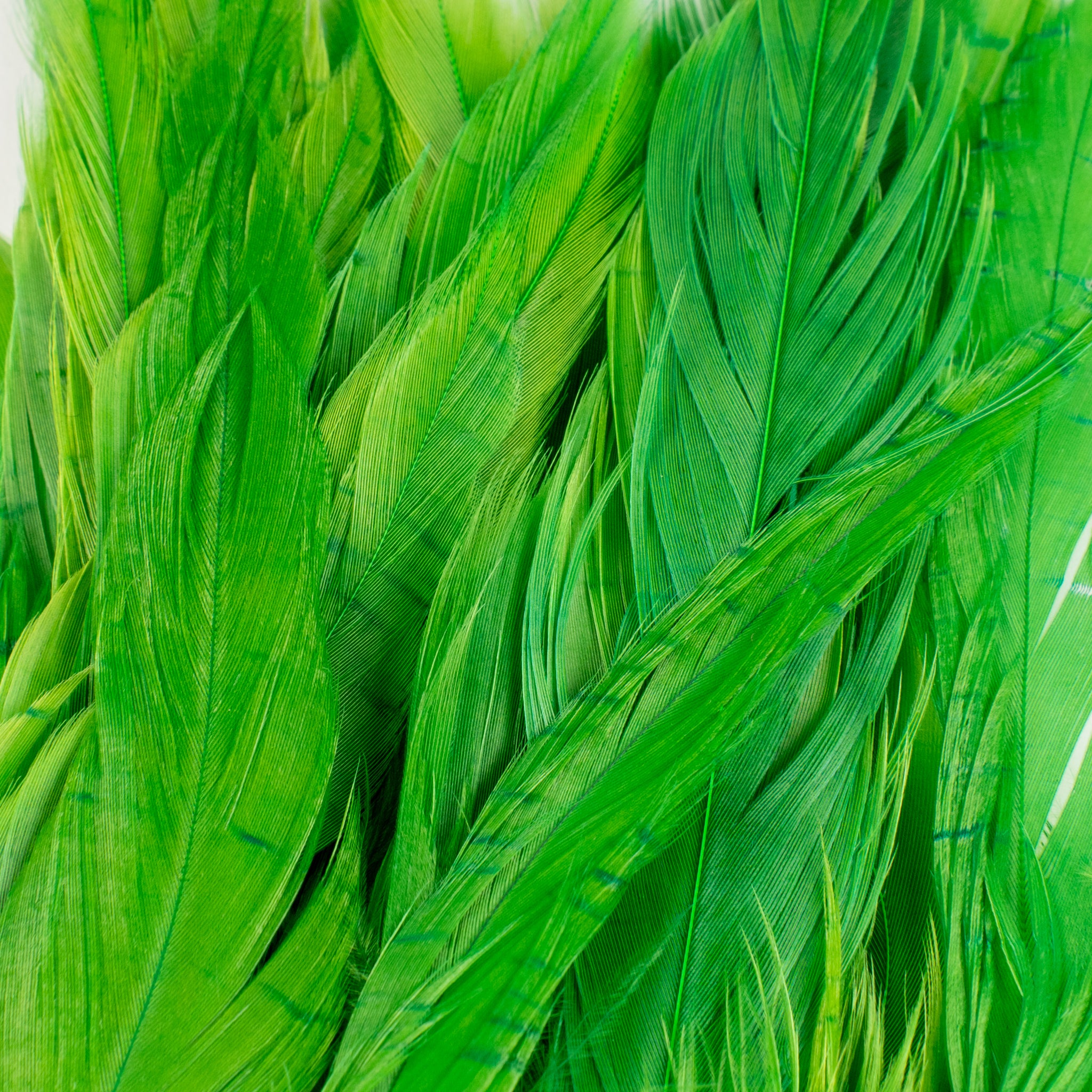 Nature's Spirit Fish Hunter Select Schlappen