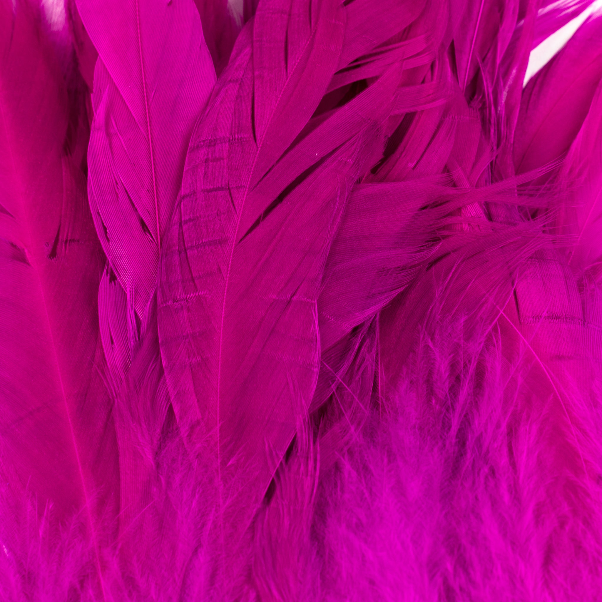 Nature's Spirit Fish Hunter Select Schlappen