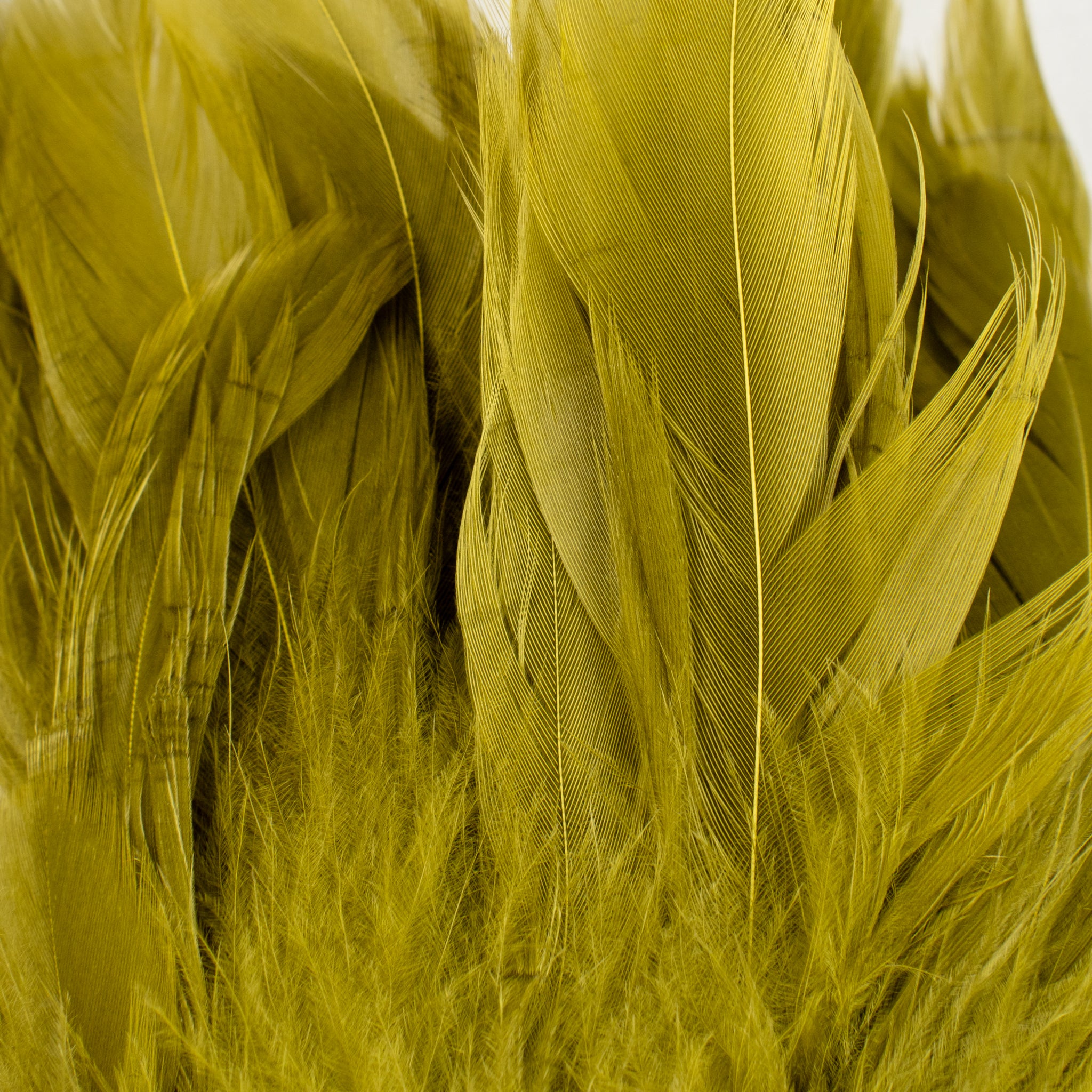 Nature's Spirit Fish Hunter Select Schlappen