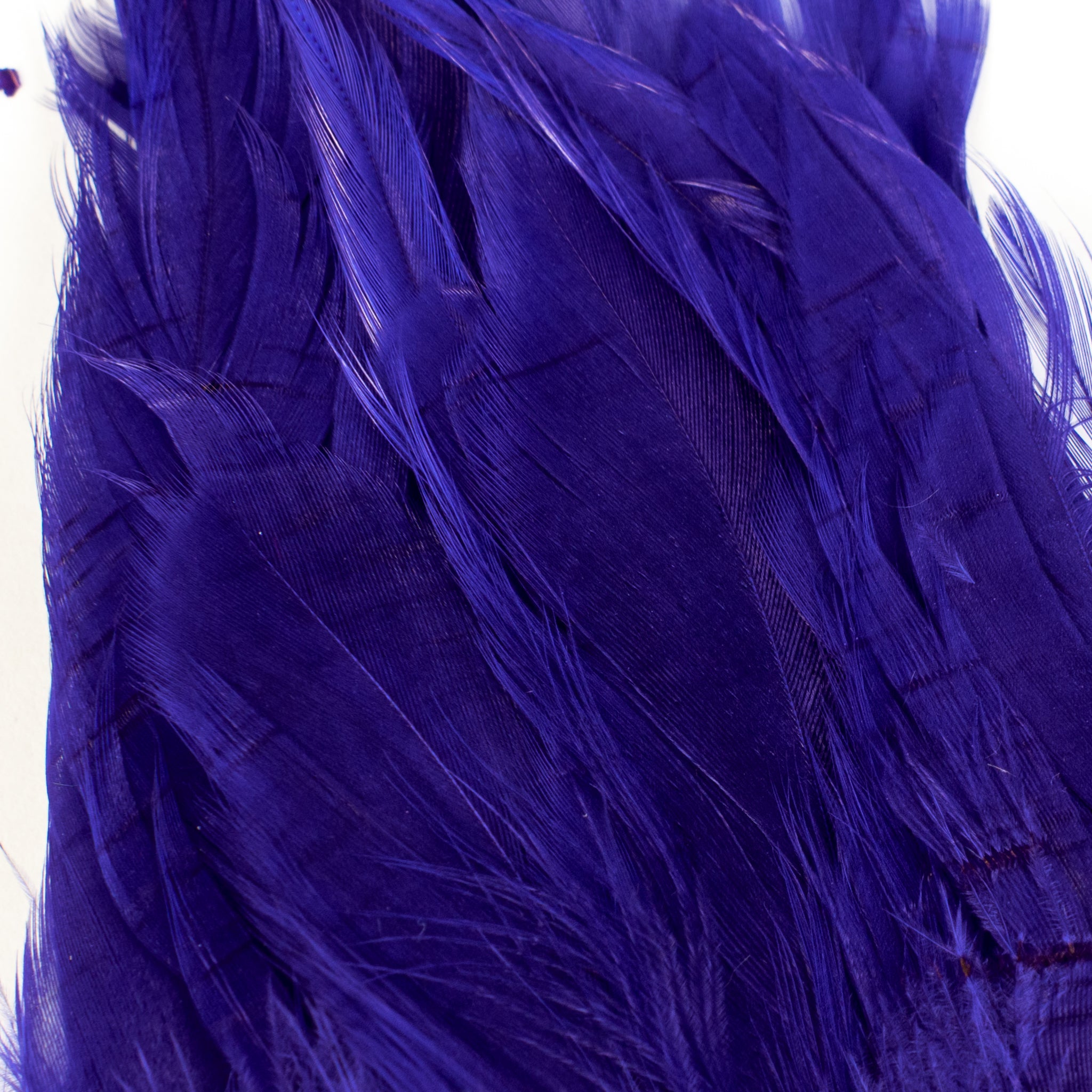 Nature's Spirit Fish Hunter Select Schlappen