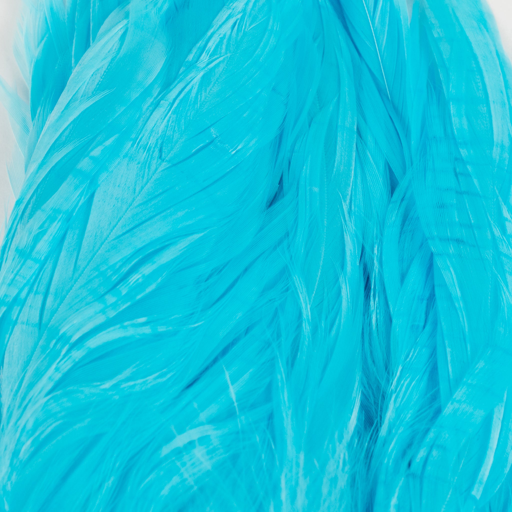 Nature's Spirit Fish Hunter Select Schlappen