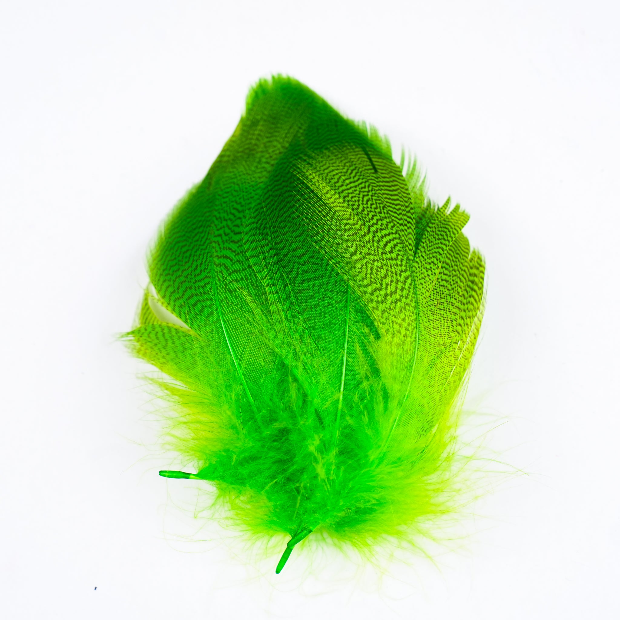 Nature's Spirit Mallard Spey Feathers