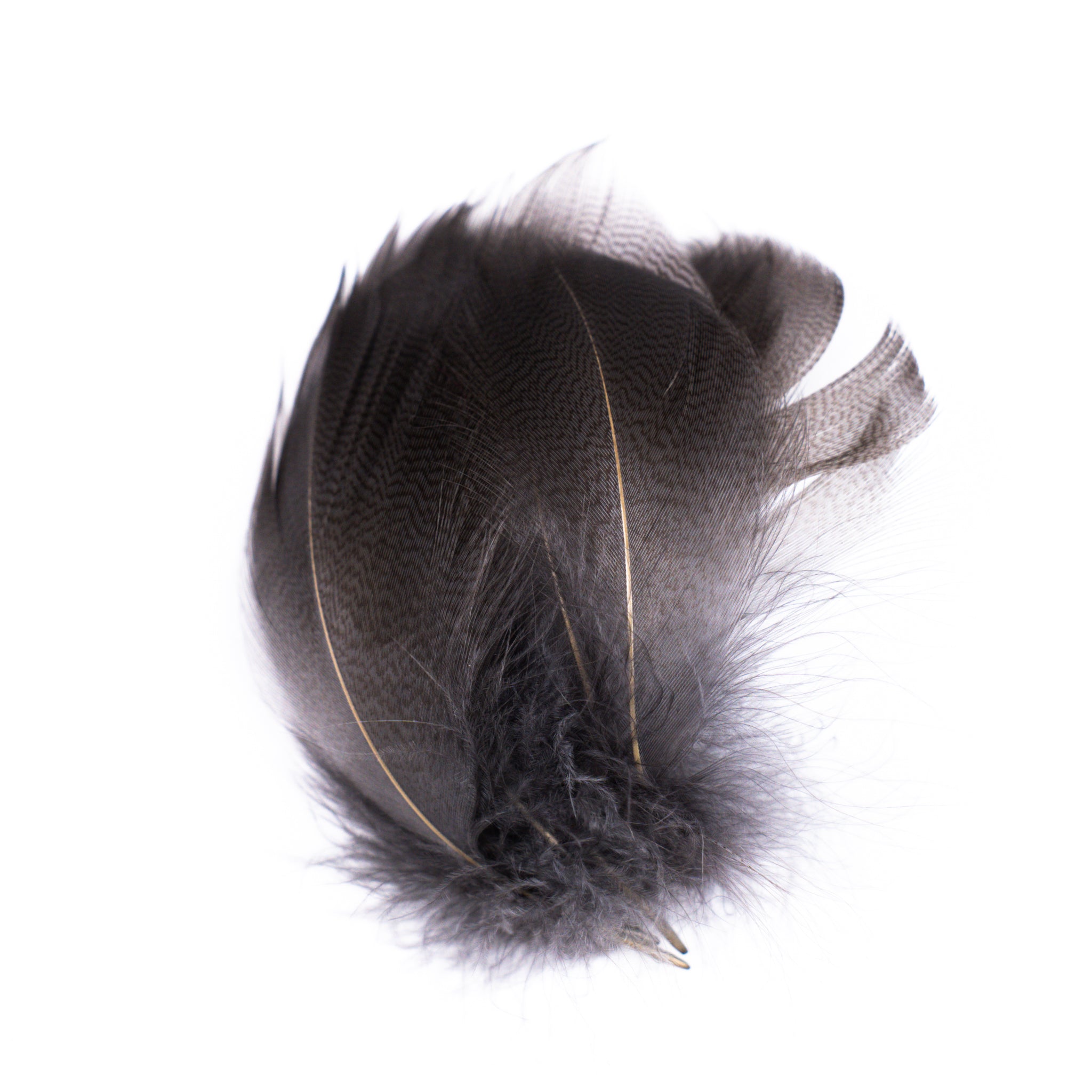Nature's Spirit Mallard Spey Feathers
