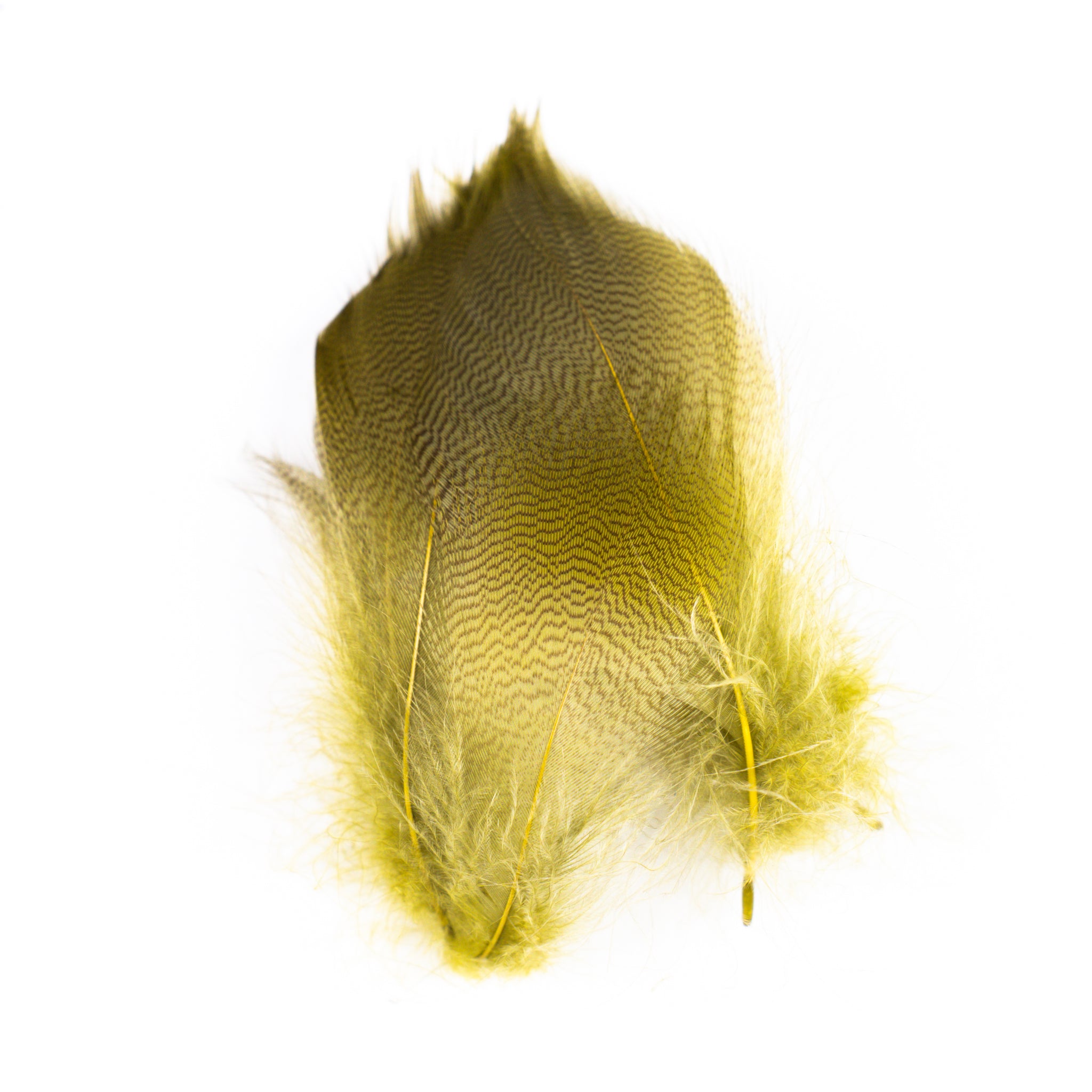 Nature's Spirit Mallard Spey Feathers