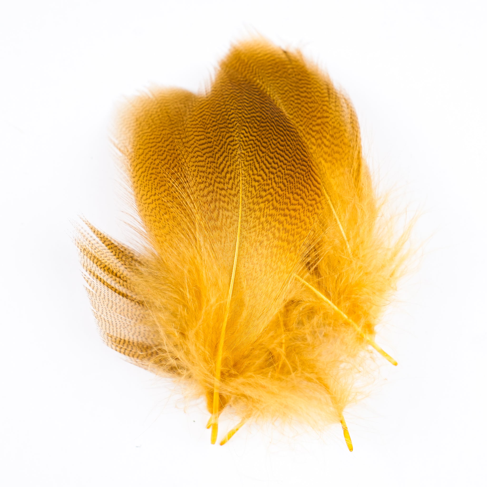 Nature's Spirit Mallard Spey Feathers