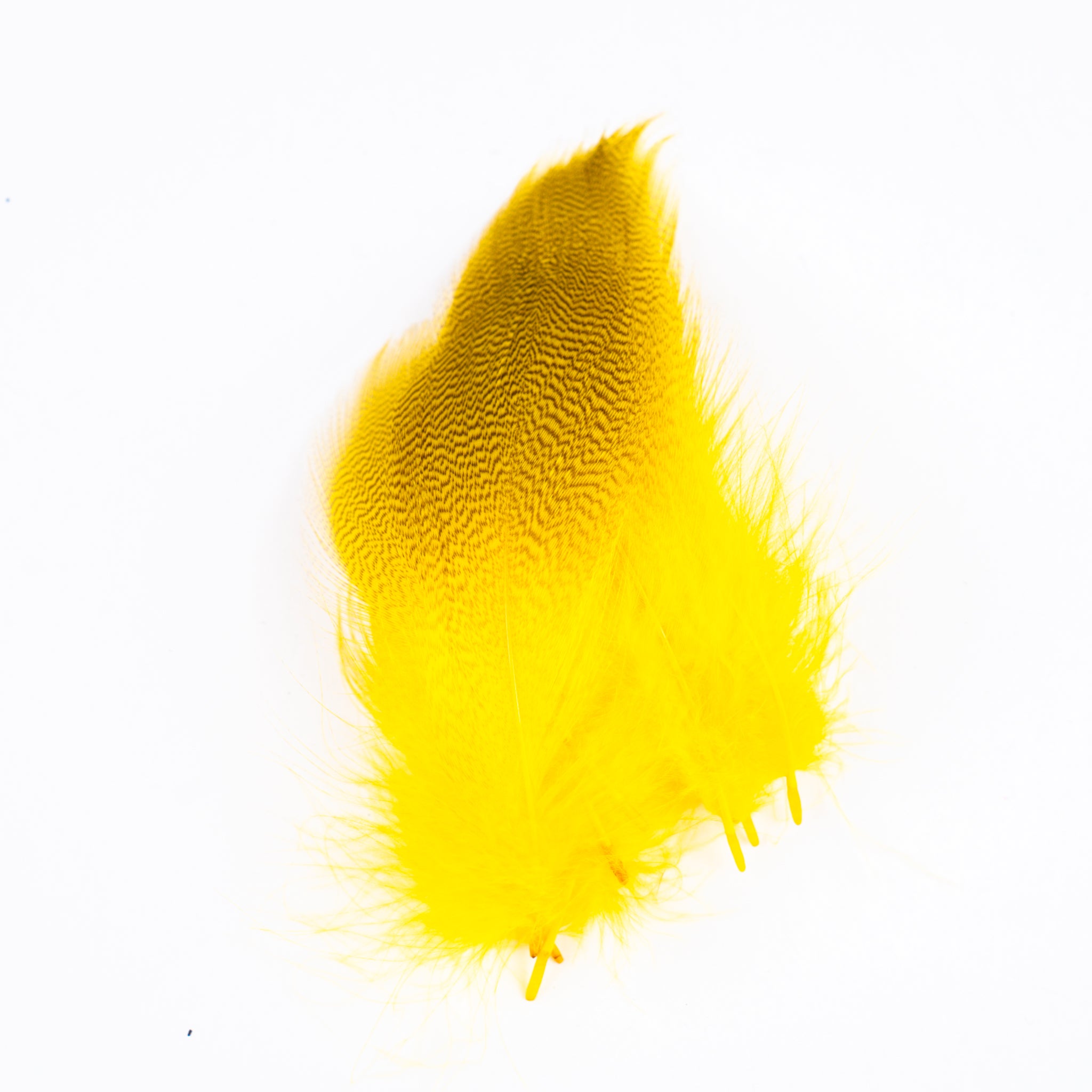 Nature's Spirit Mallard Spey Feathers