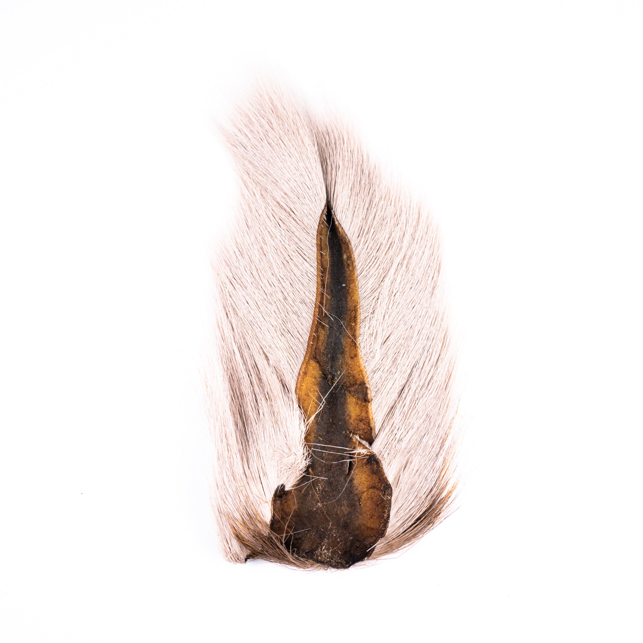 PMD Bucktail