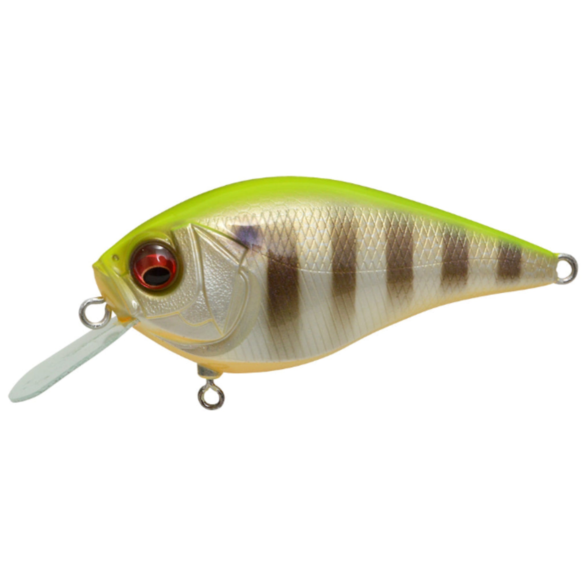 Megabass Knuckle LD Crankbait