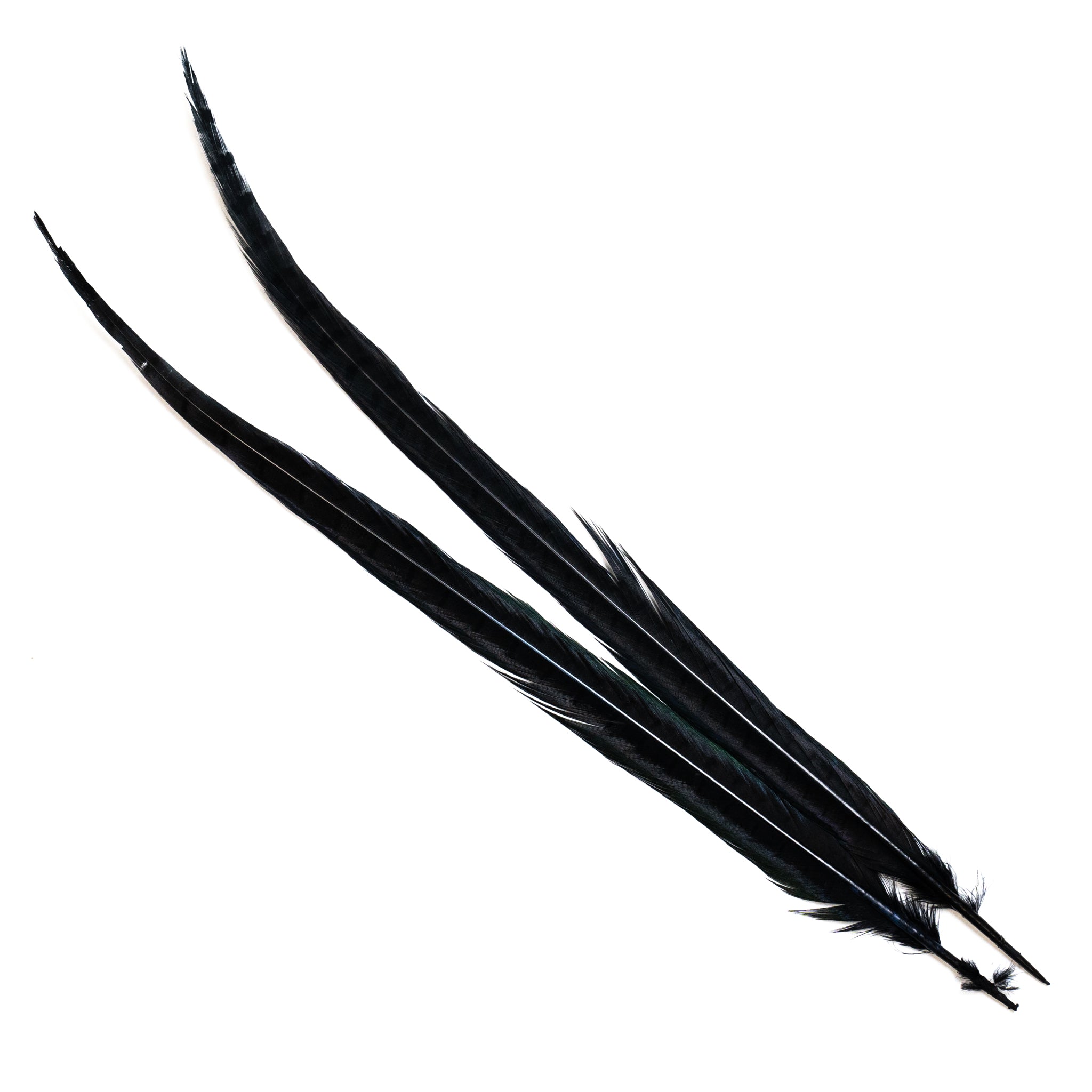 Nature's Spirit Ringneck Pheasant Center Tails