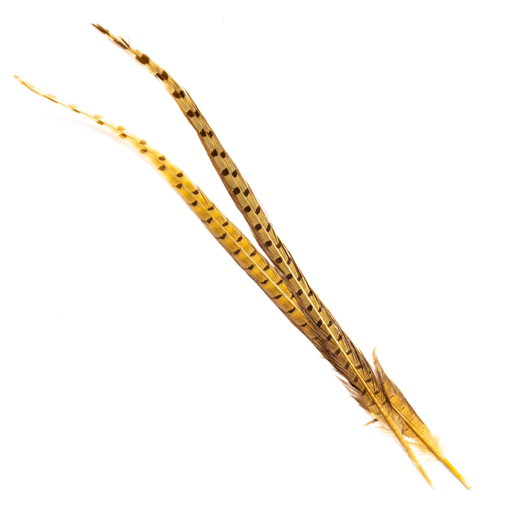 Nature's Spirit Ringneck Pheasant Center Tails