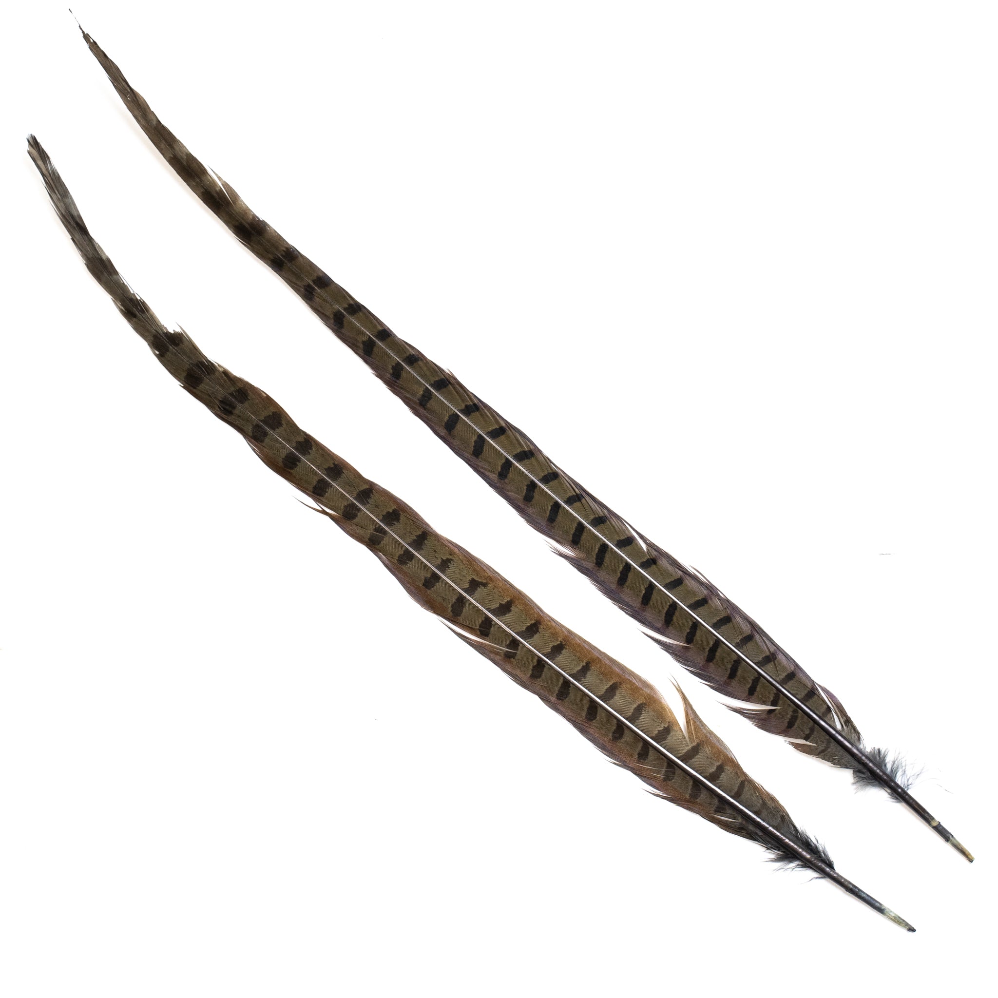 Nature's Spirit Ringneck Pheasant Center Tails