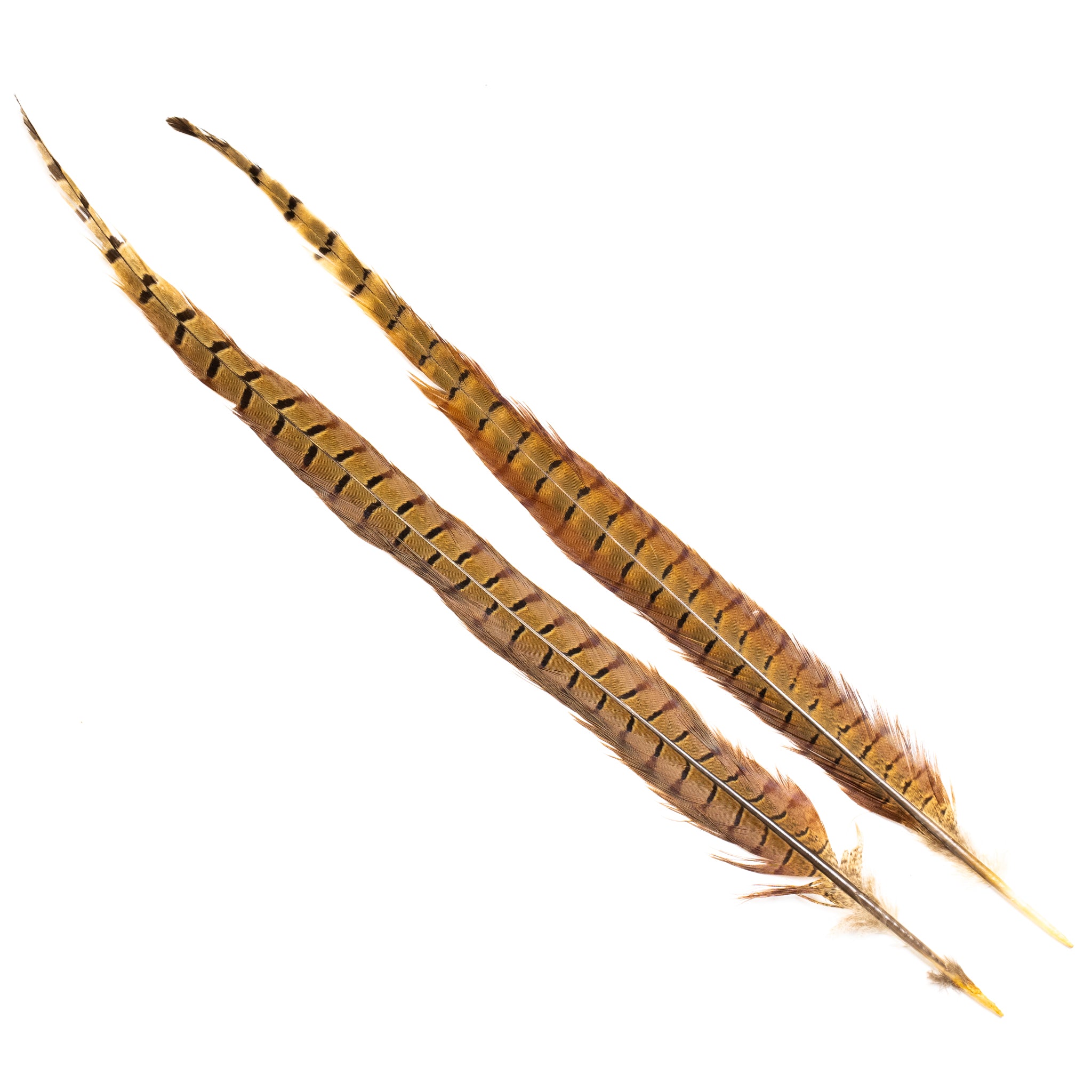 Nature's Spirit Ringneck Pheasant Center Tails