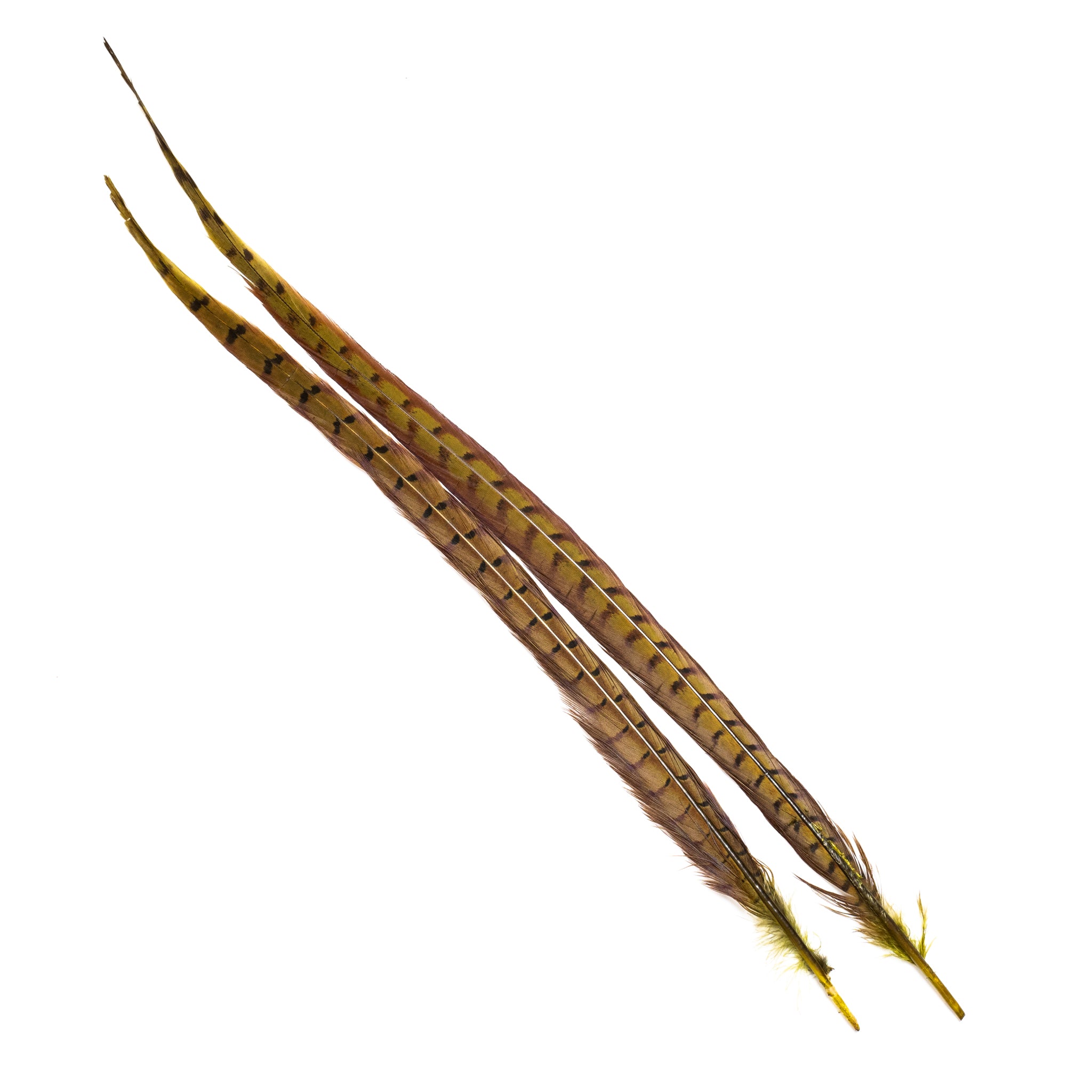 Nature's Spirit Ringneck Pheasant Center Tails